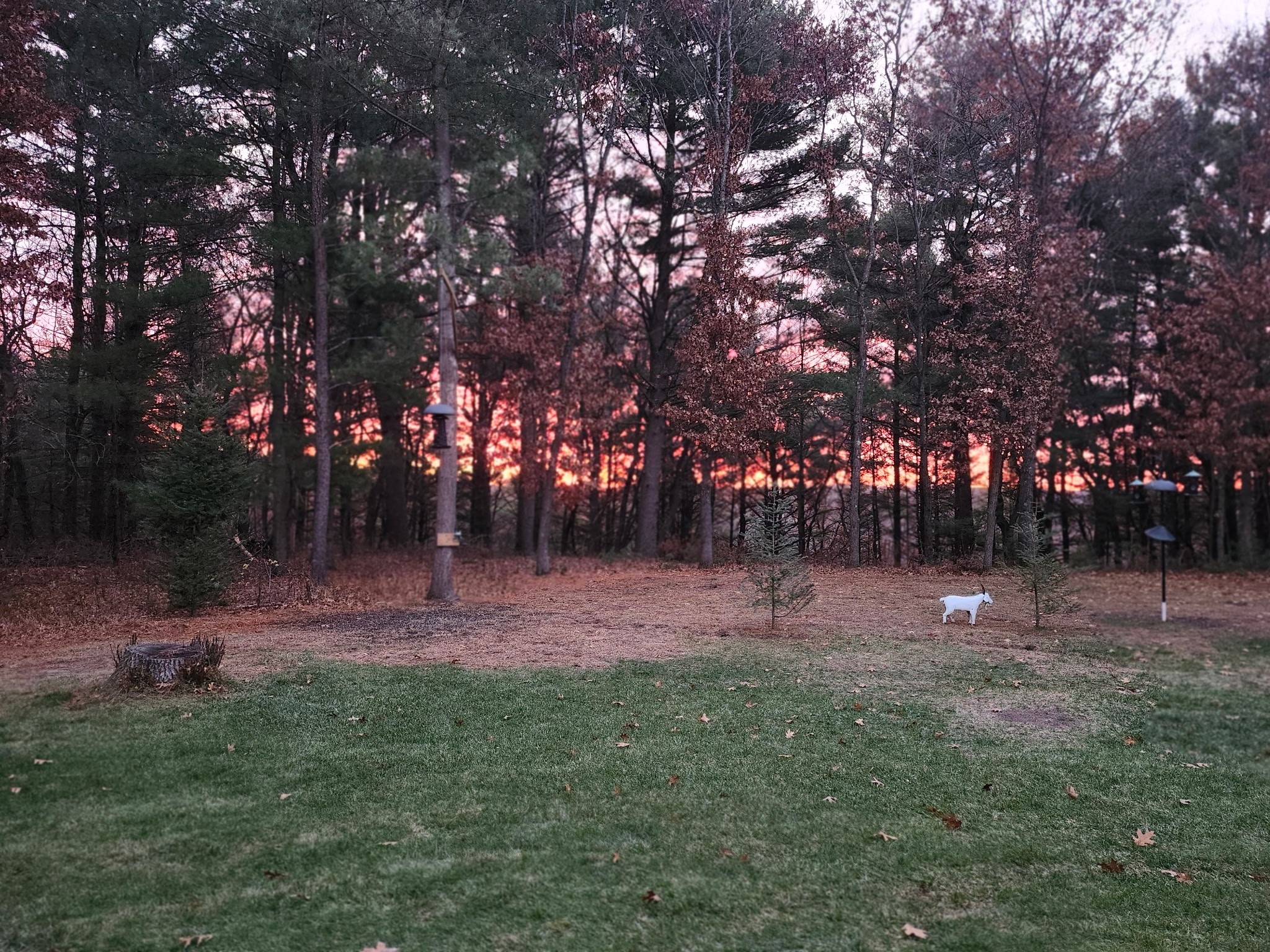 909 Thistle Lane Eau Claire WI 54703 1599640 image60