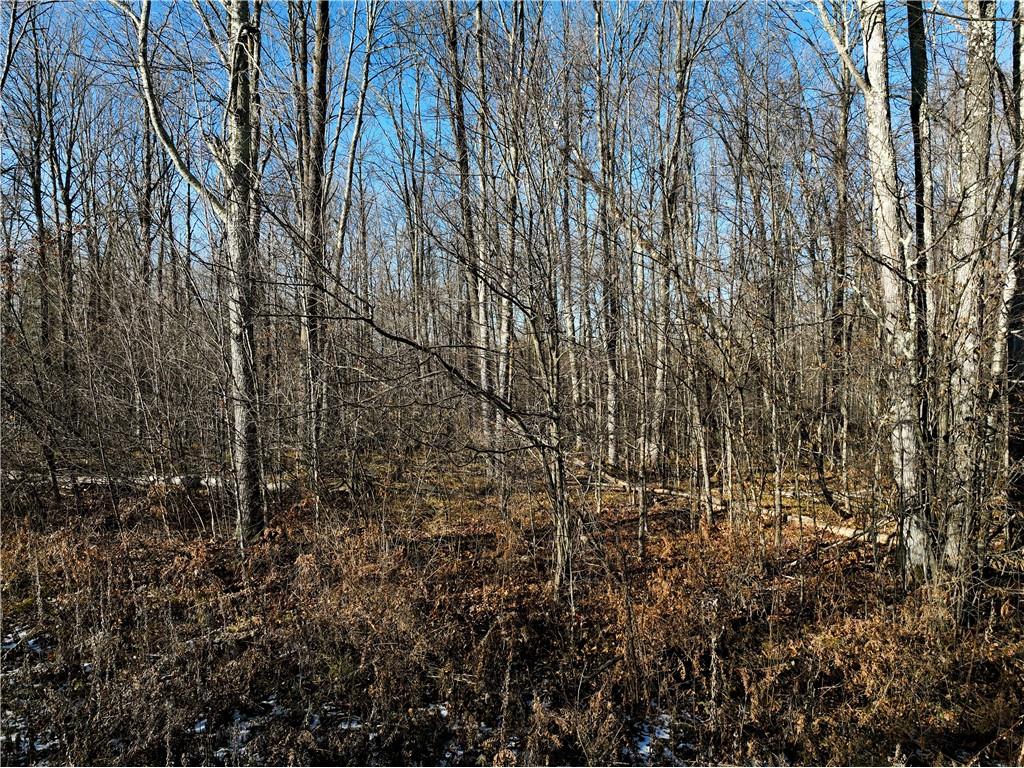 9094 W Scout Trail Ojibwa WI 54862 1578633 image1