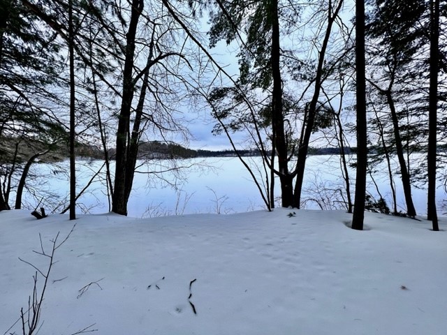 9102 N County Hwy E Hayward WI 54843 - Spring 1571931 image1