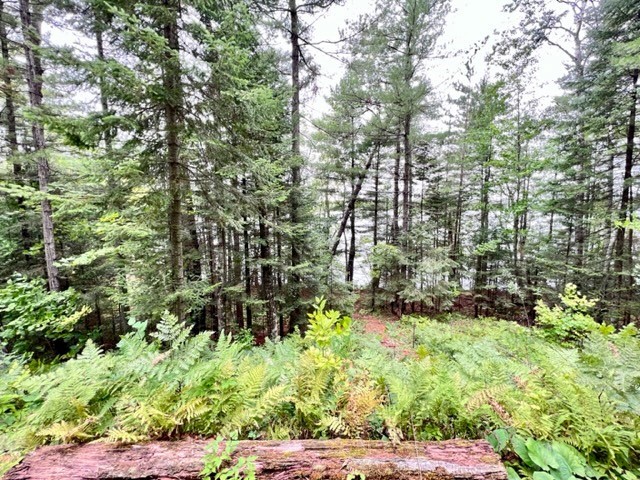 9102 N County Rd E Hayward WI 54843 - Spring 1596894 image3