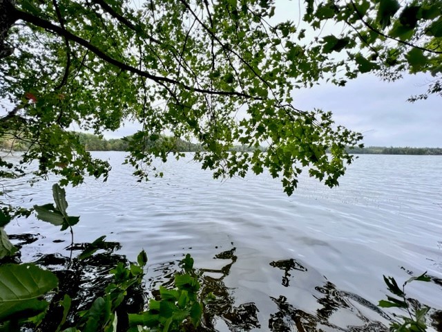 9102 N County Rd E Hayward WI 54843 - Spring 1596894 image6