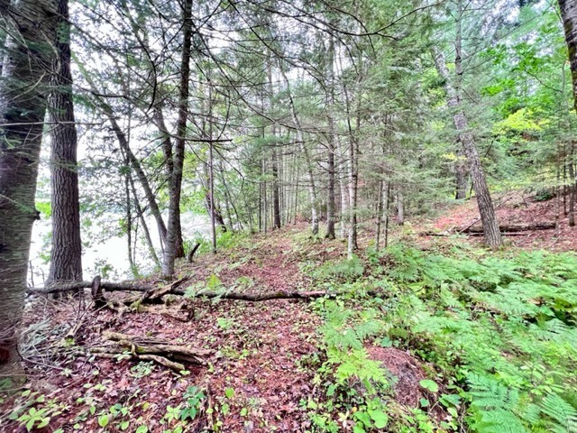 9102 N County Rd E Hayward WI 54843 - Spring 1596894 image7