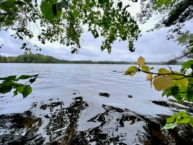 9102 N County Road E Hayward WI 54843 - Spring 1596894 image5