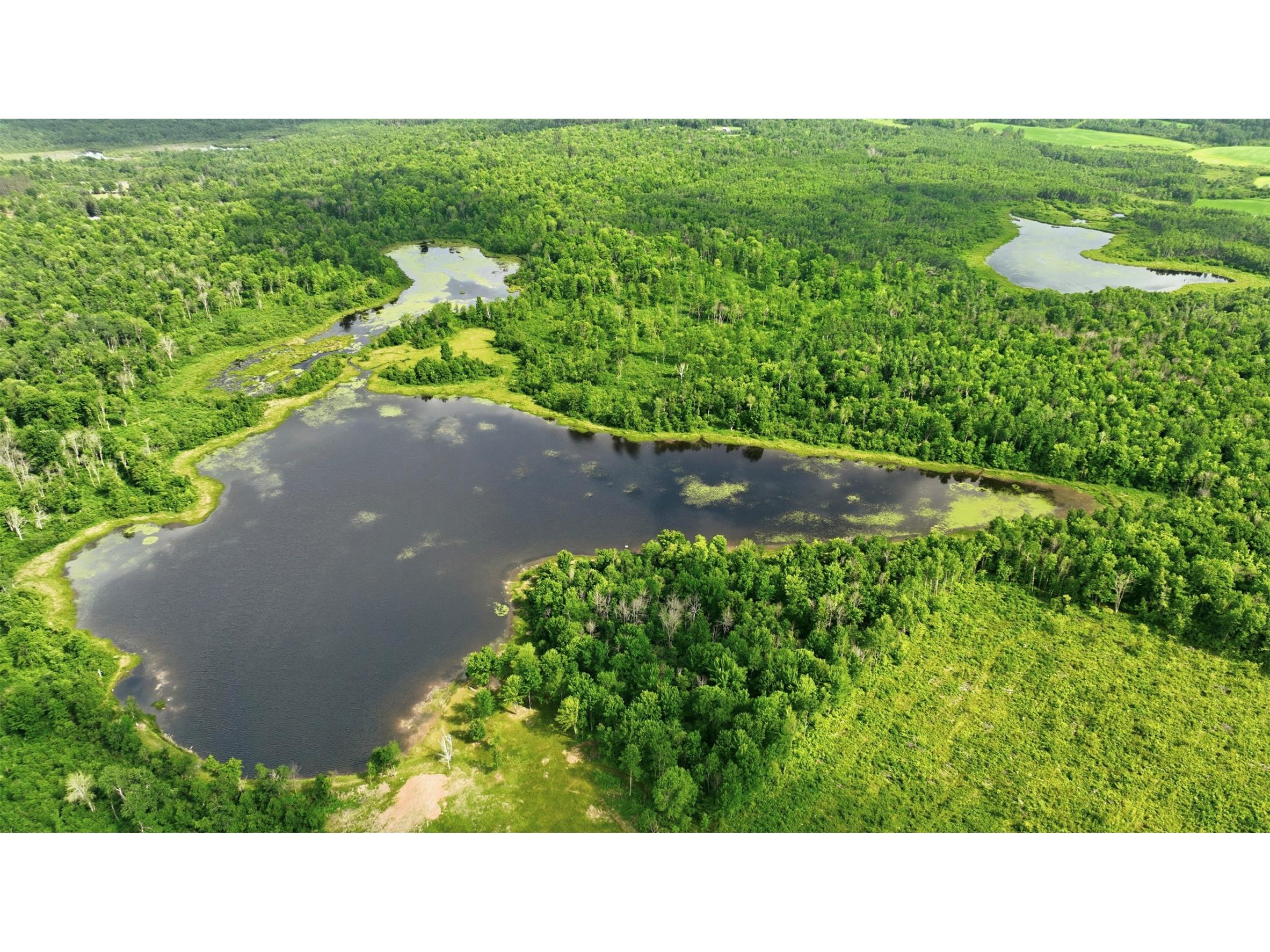 9105W Irvine Drive Ojibwa WI 54862 - Bear Foot 1602736 image3
