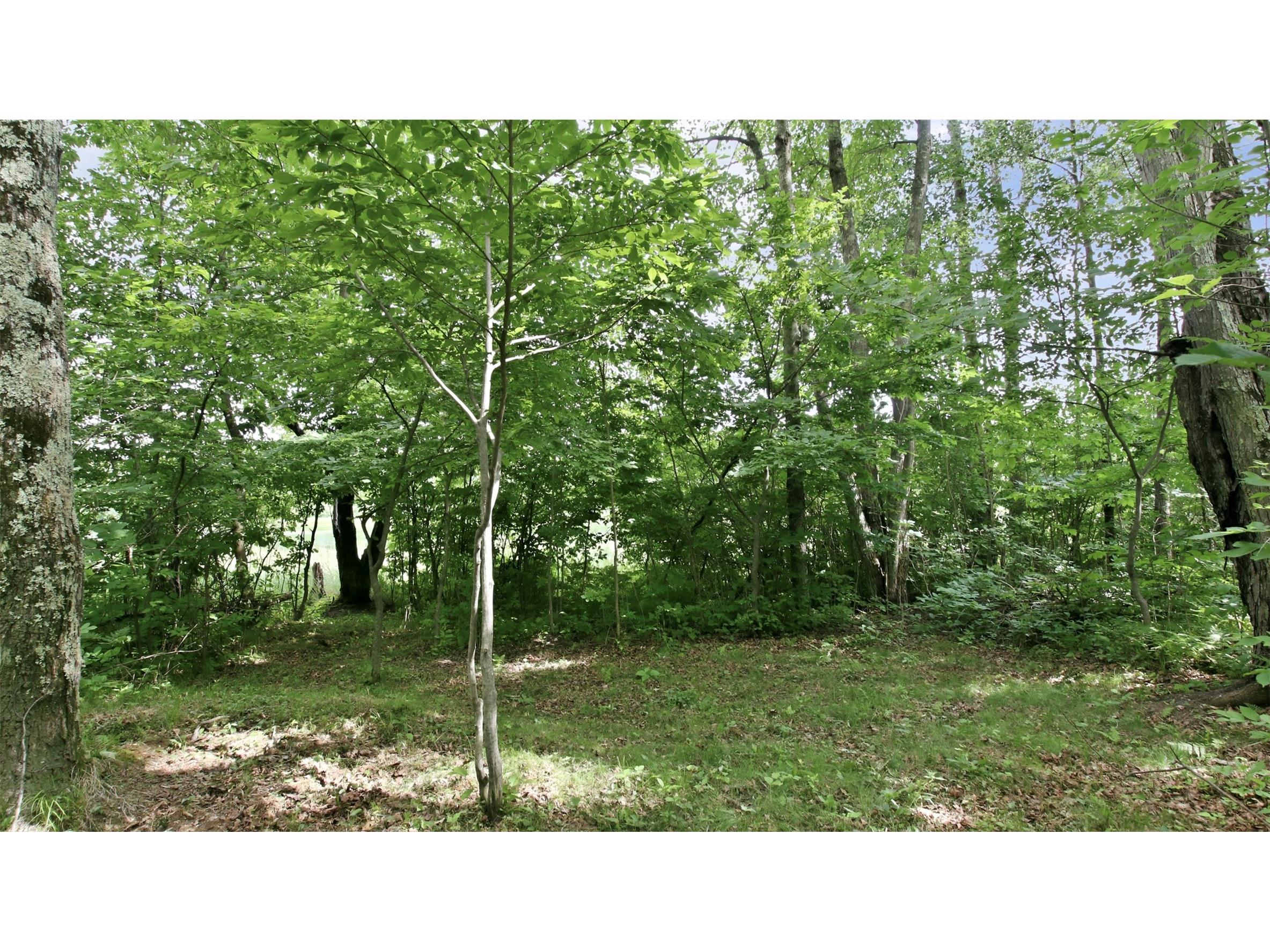 9105W Irvine Drive Ojibwa WI 54862 - Bear Foot 1602736 image42