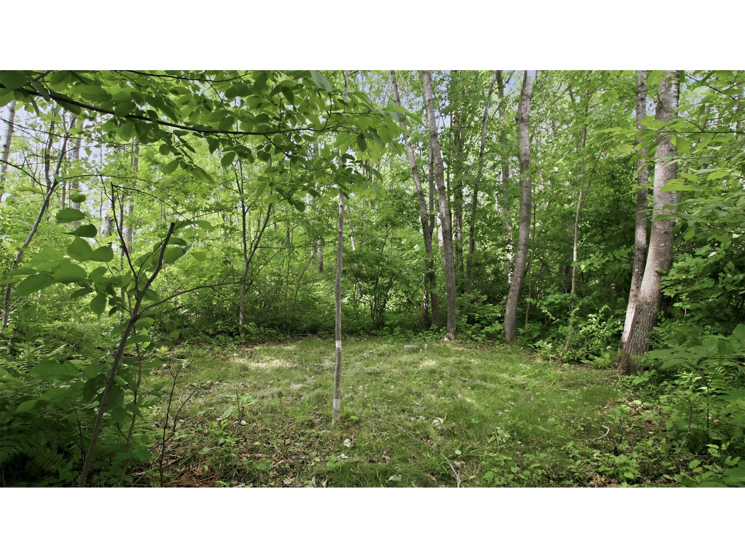 9105W Irvine Drive Ojibwa WI 54862 - Bear Foot 1602736 image44