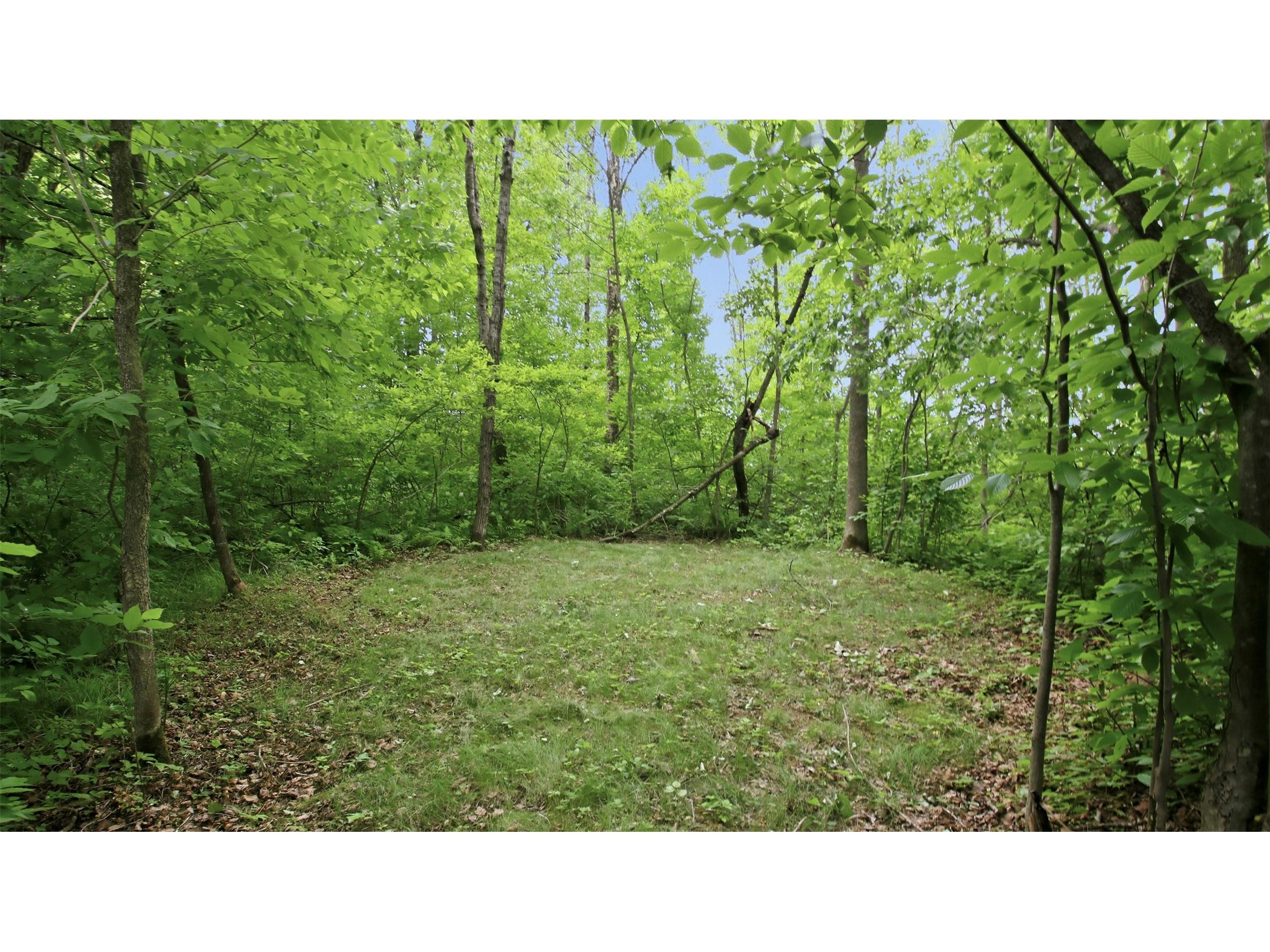 9105W Irvine Drive Ojibwa WI 54862 - Bear Foot 1602736 image45