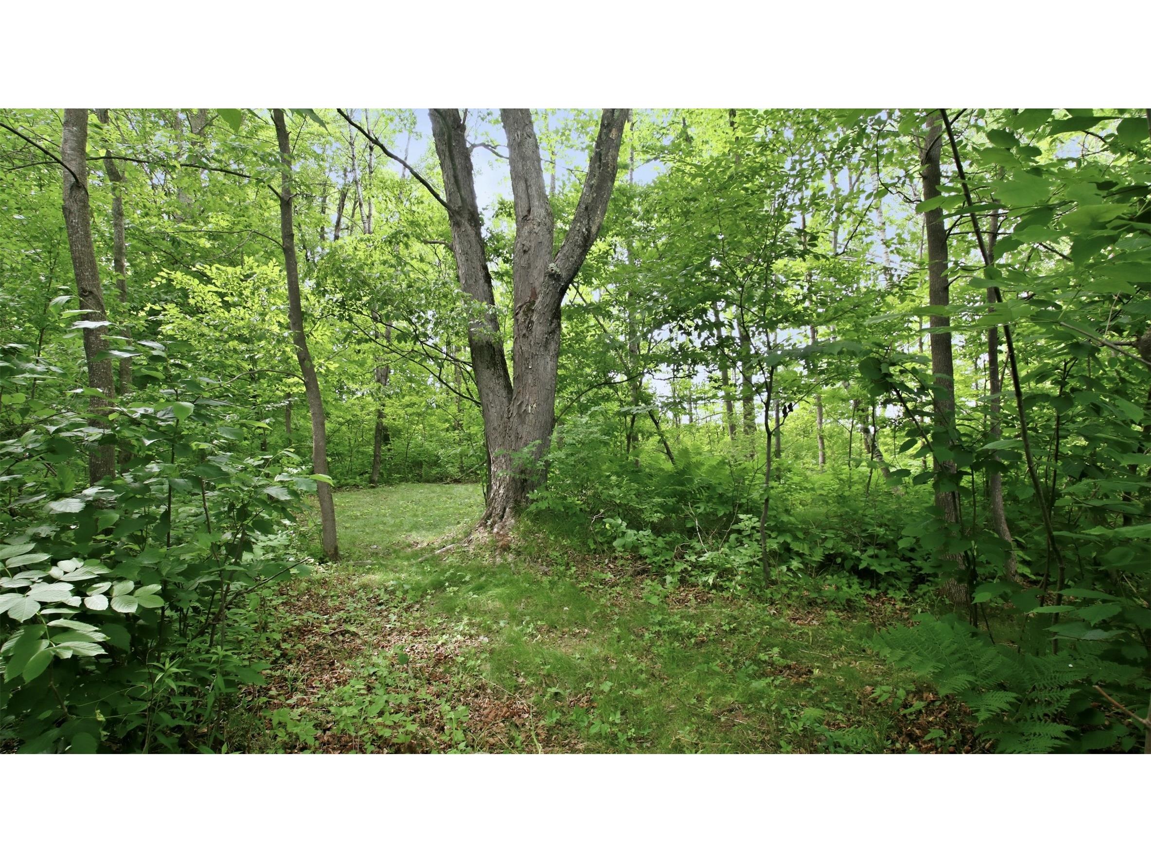 9105W Irvine Drive Ojibwa WI 54862 - Bear Foot 1602736 image46