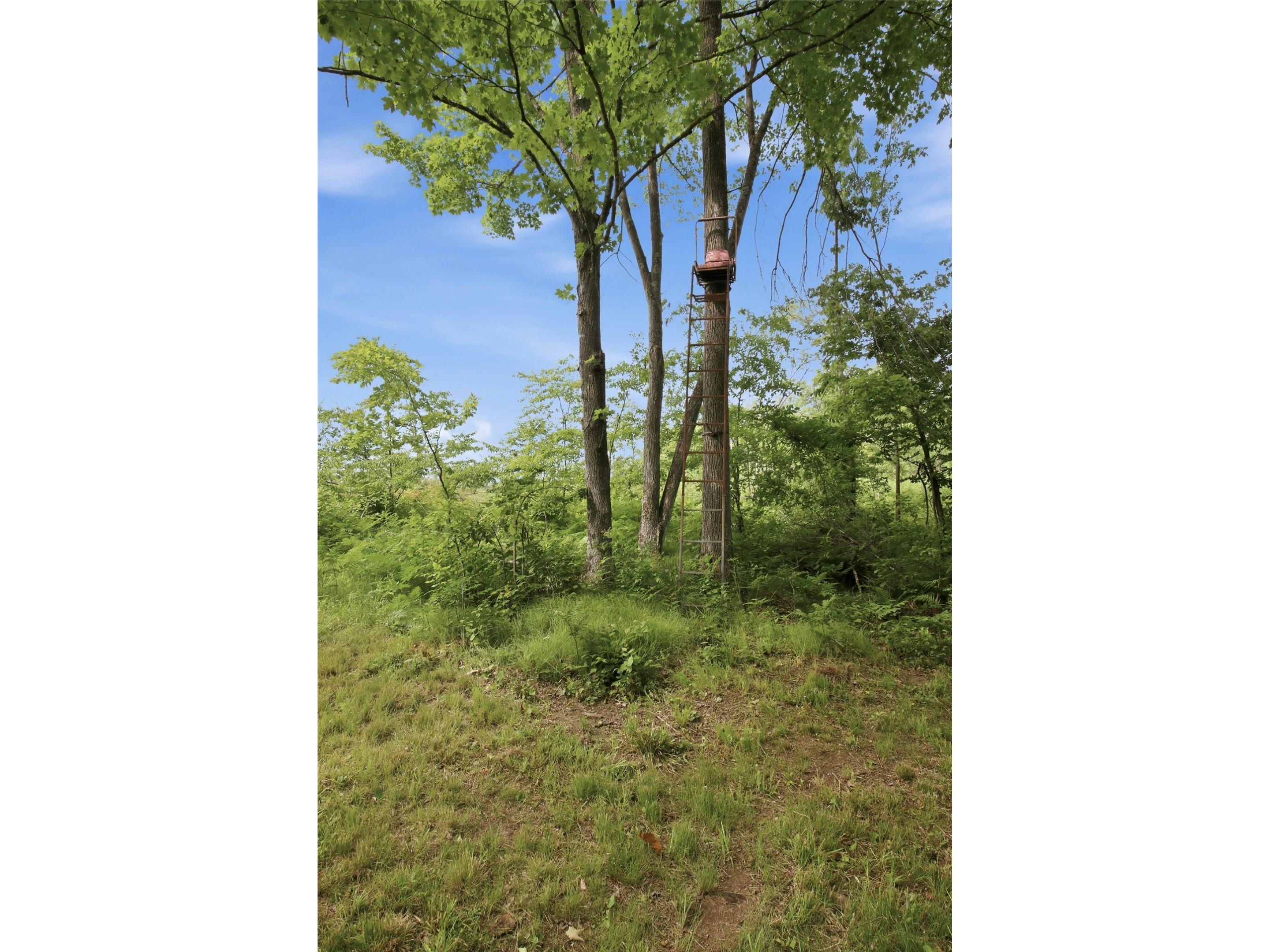 9105W Irvine Drive Ojibwa WI 54862 - Bear Foot 1602736 image47