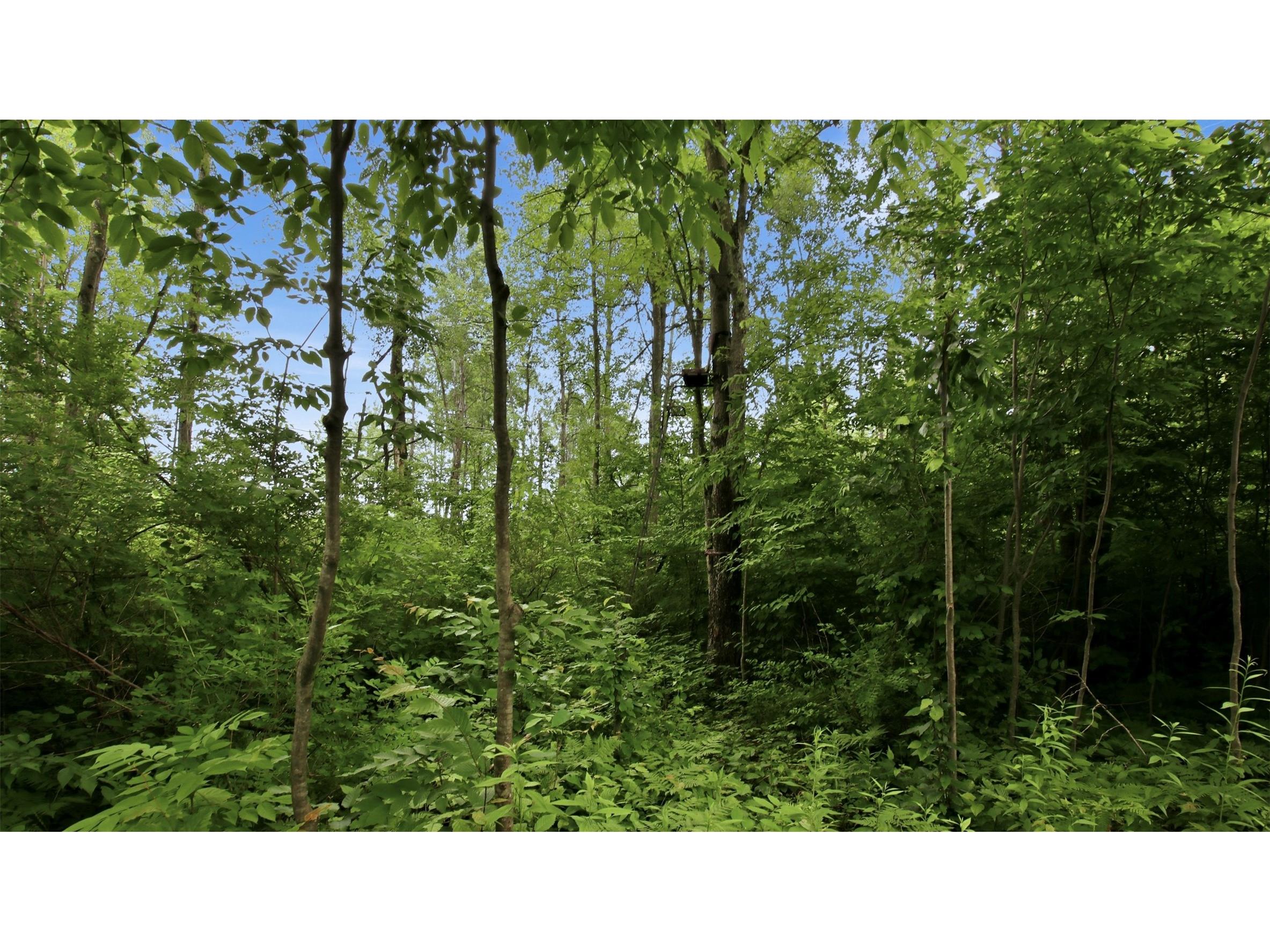 9105W Irvine Drive Ojibwa WI 54862 - Bear Foot 1602736 image50