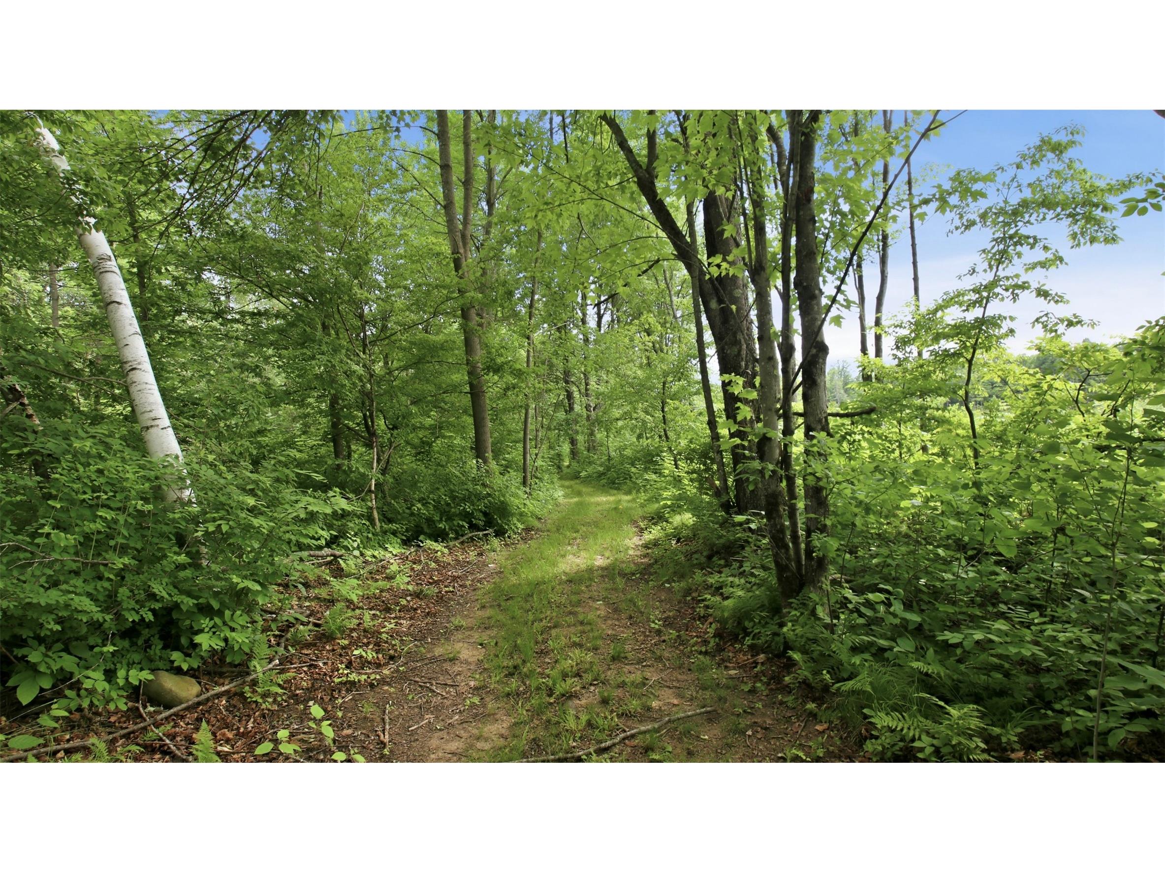9105W Irvine Drive Ojibwa WI 54862 - Bear Foot 1602736 image51