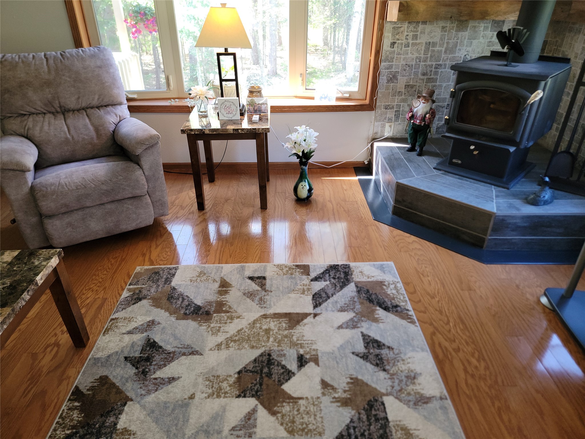 9159N Chippewa Pines Way Winter WI 54896 1601413 image18