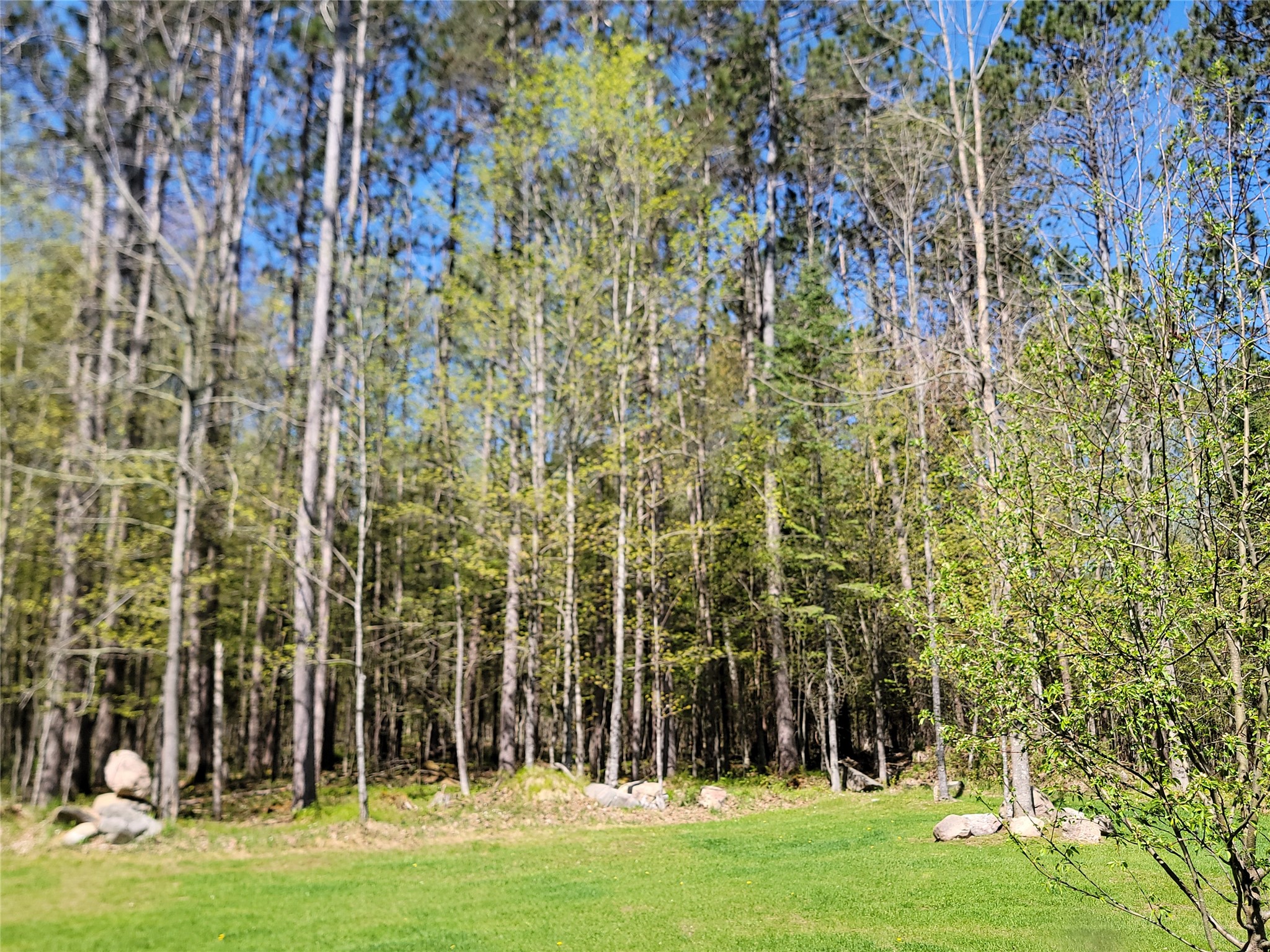 9159N Chippewa Pines Way Winter WI 54896 1601413 image44