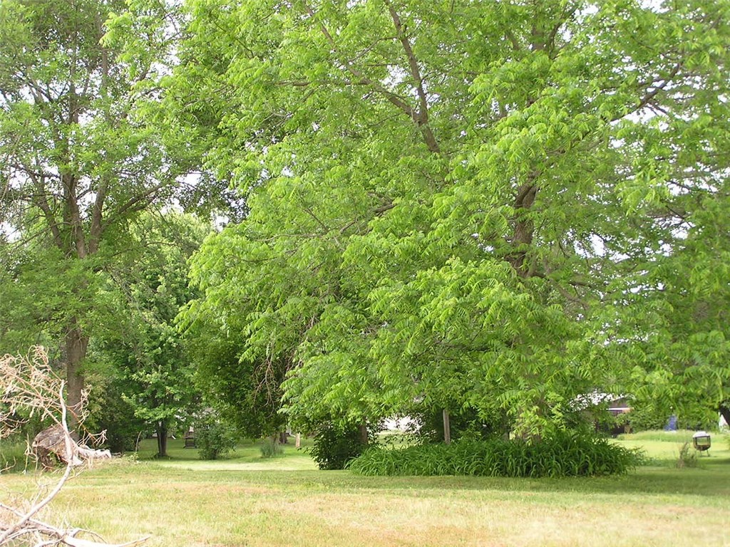 916 E 4th Street S Ladysmith WI 54848 1574039 image2