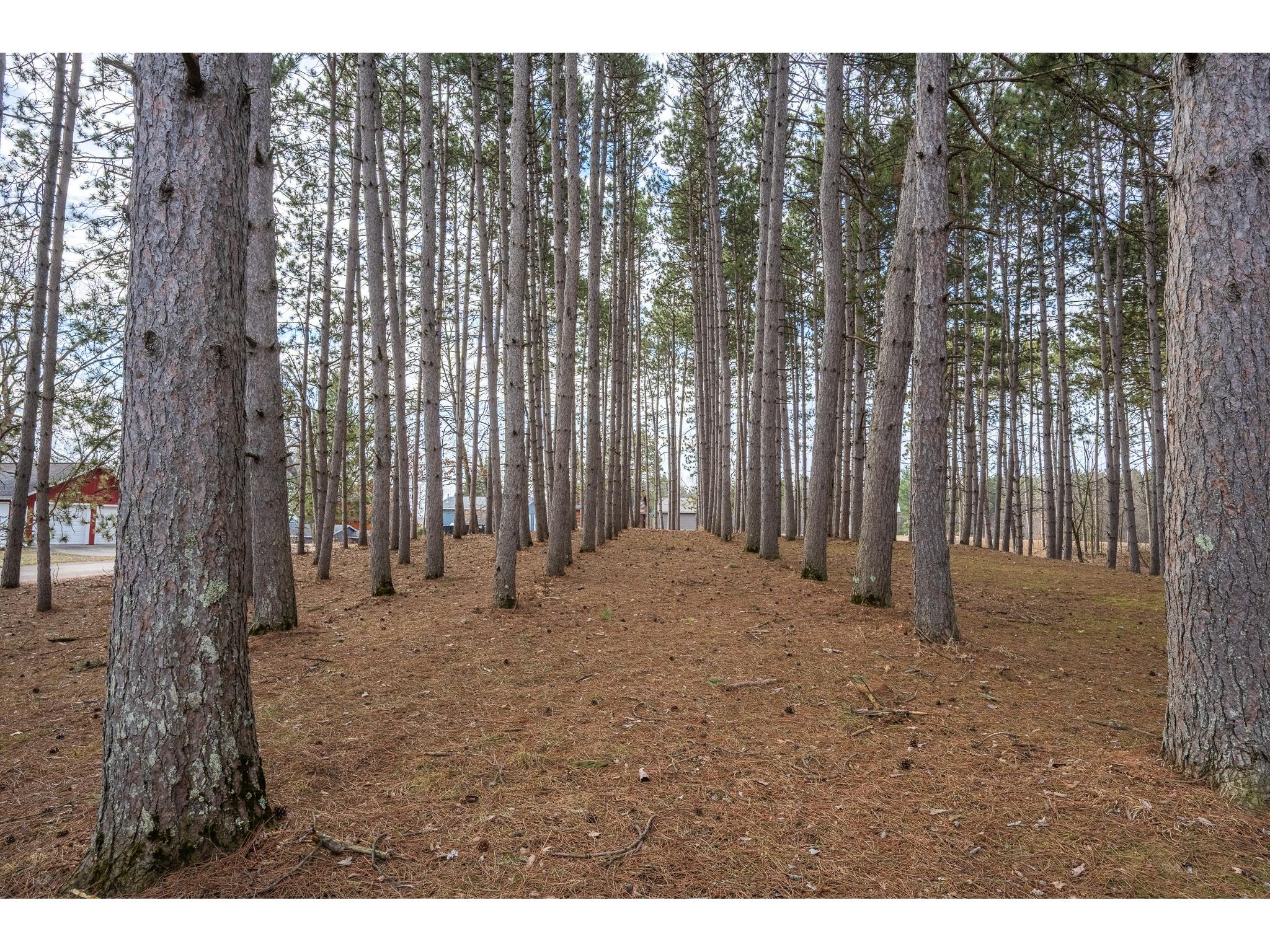917 Sunrise Beach Drive Amery WI 54001 - WAPOGASSETT 1599478 image38