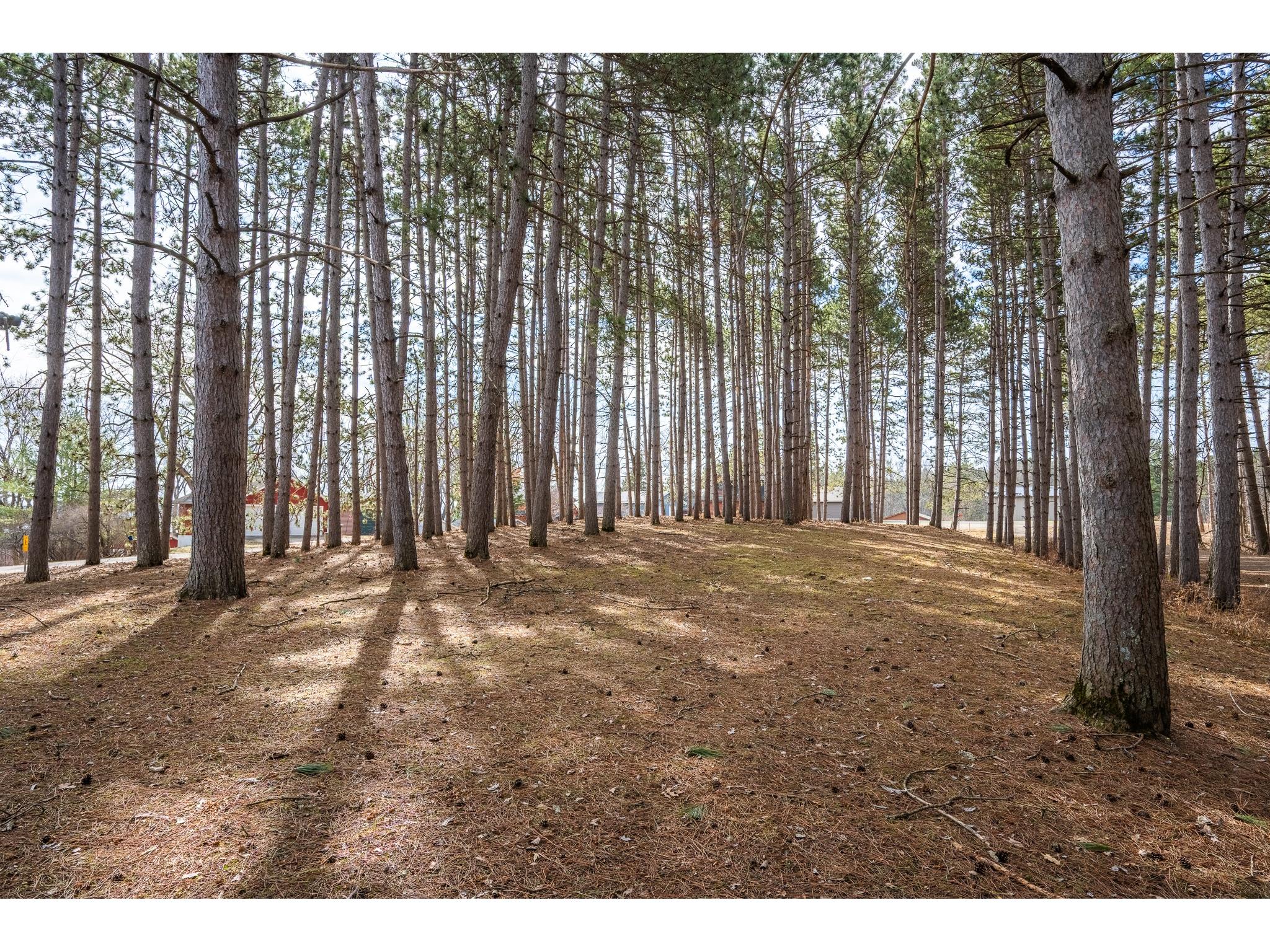 917 Sunrise Beach Drive Amery WI 54001 - WAPOGASSETT 1599478 image39