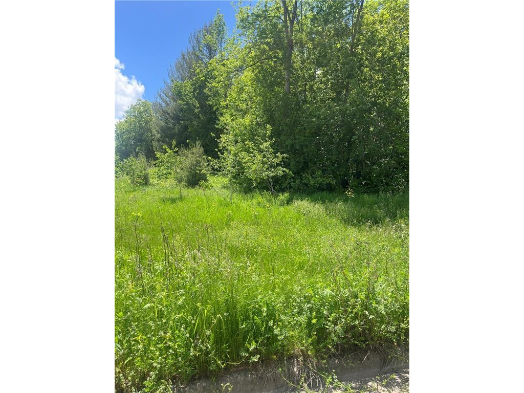 920 Emerald Court Rice Lake WI 54868 1578632 image1