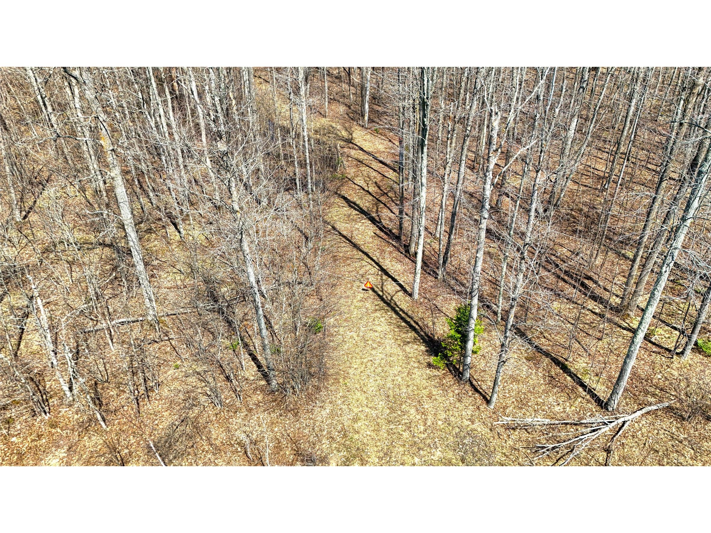 9220 W Scout Trail Ojibwa WI 54862 - Chippewa 1600301 image11
