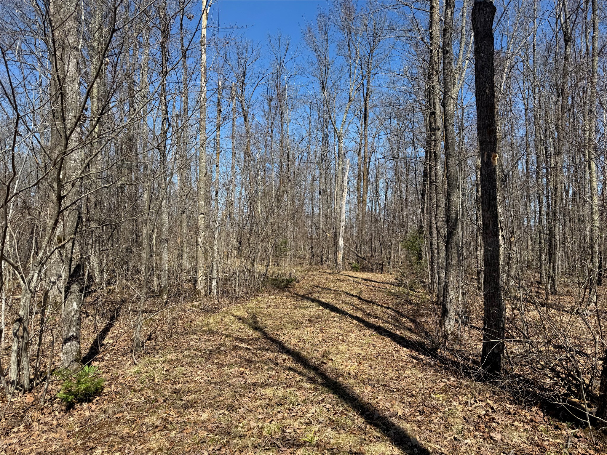 9220 W Scout Trail Ojibwa WI 54862 - Chippewa 1600301 image23