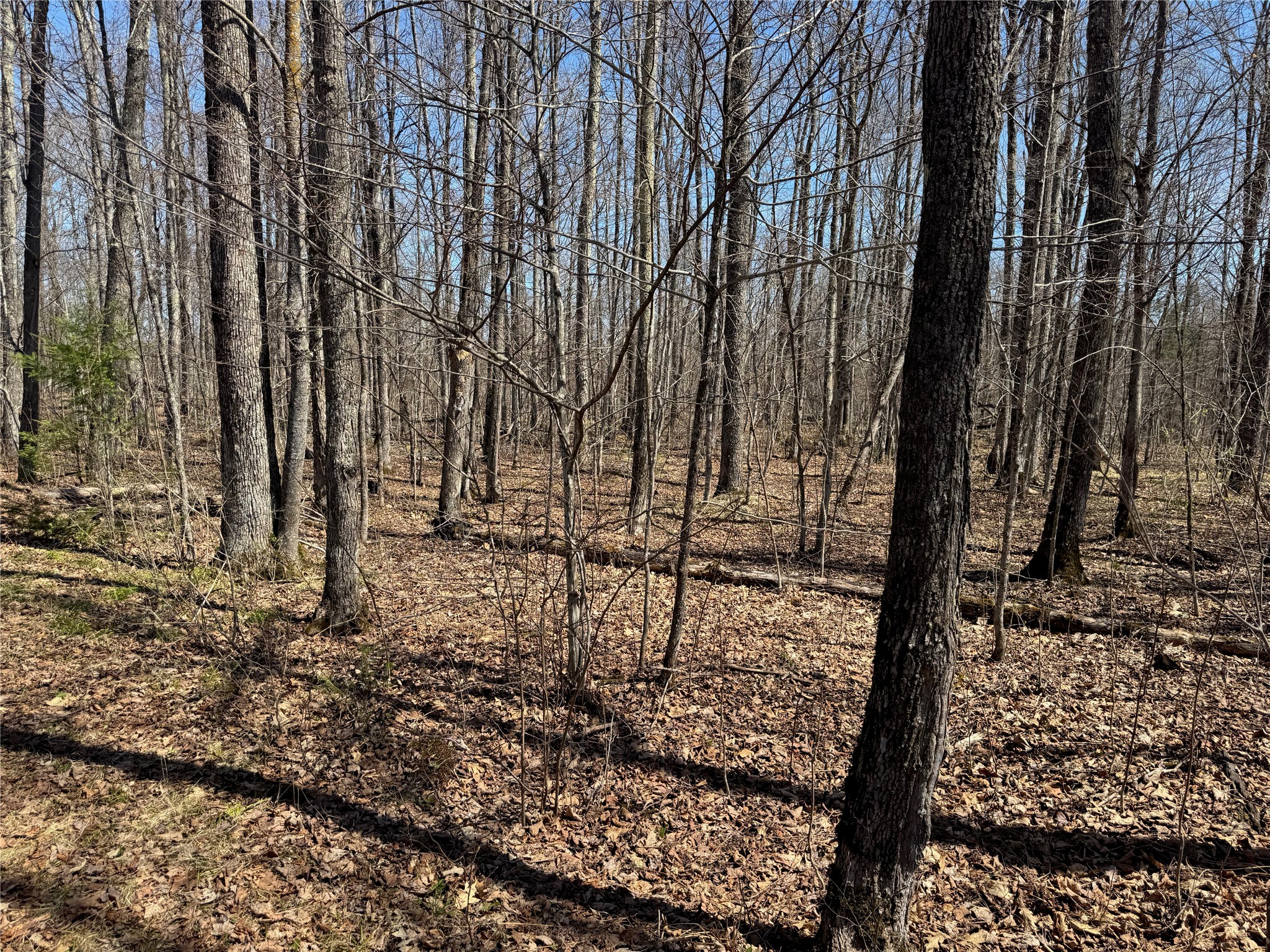 9220 W Scout Trail Ojibwa WI 54862 - Chippewa 1600301 image24