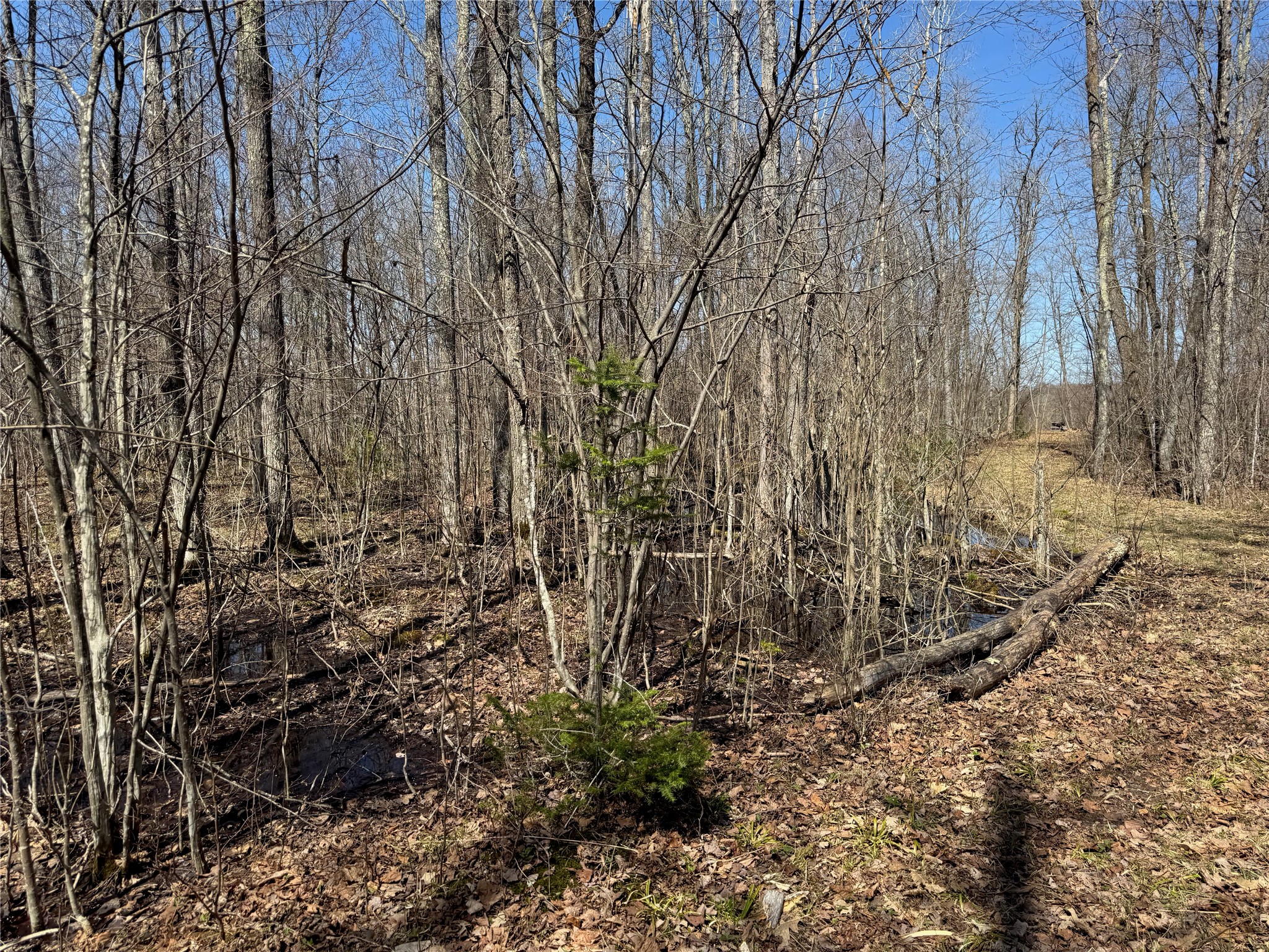9220 W Scout Trail Ojibwa WI 54862 - Chippewa 1600301 image25