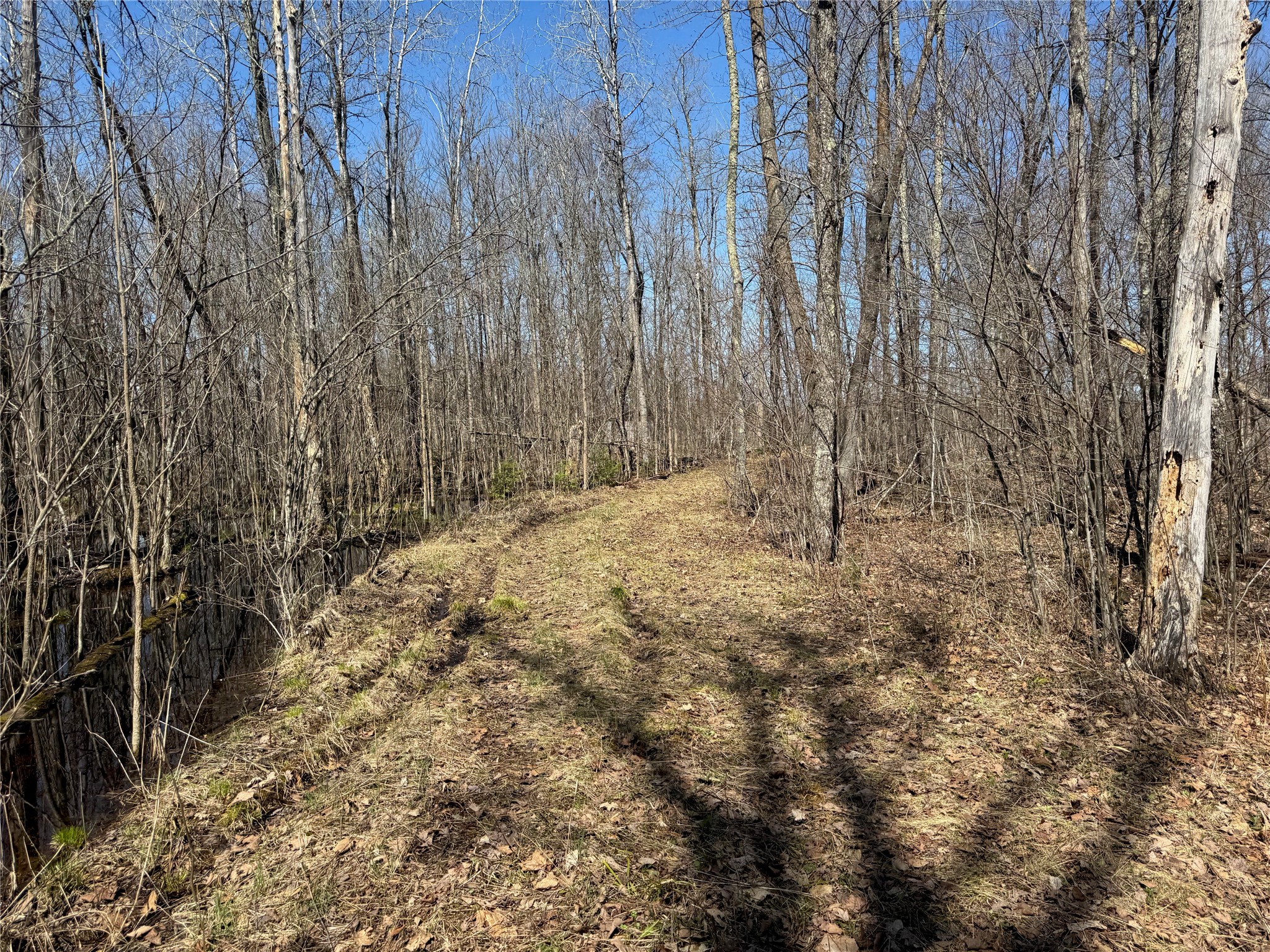 9220 W Scout Trail Ojibwa WI 54862 - Chippewa 1600301 image26