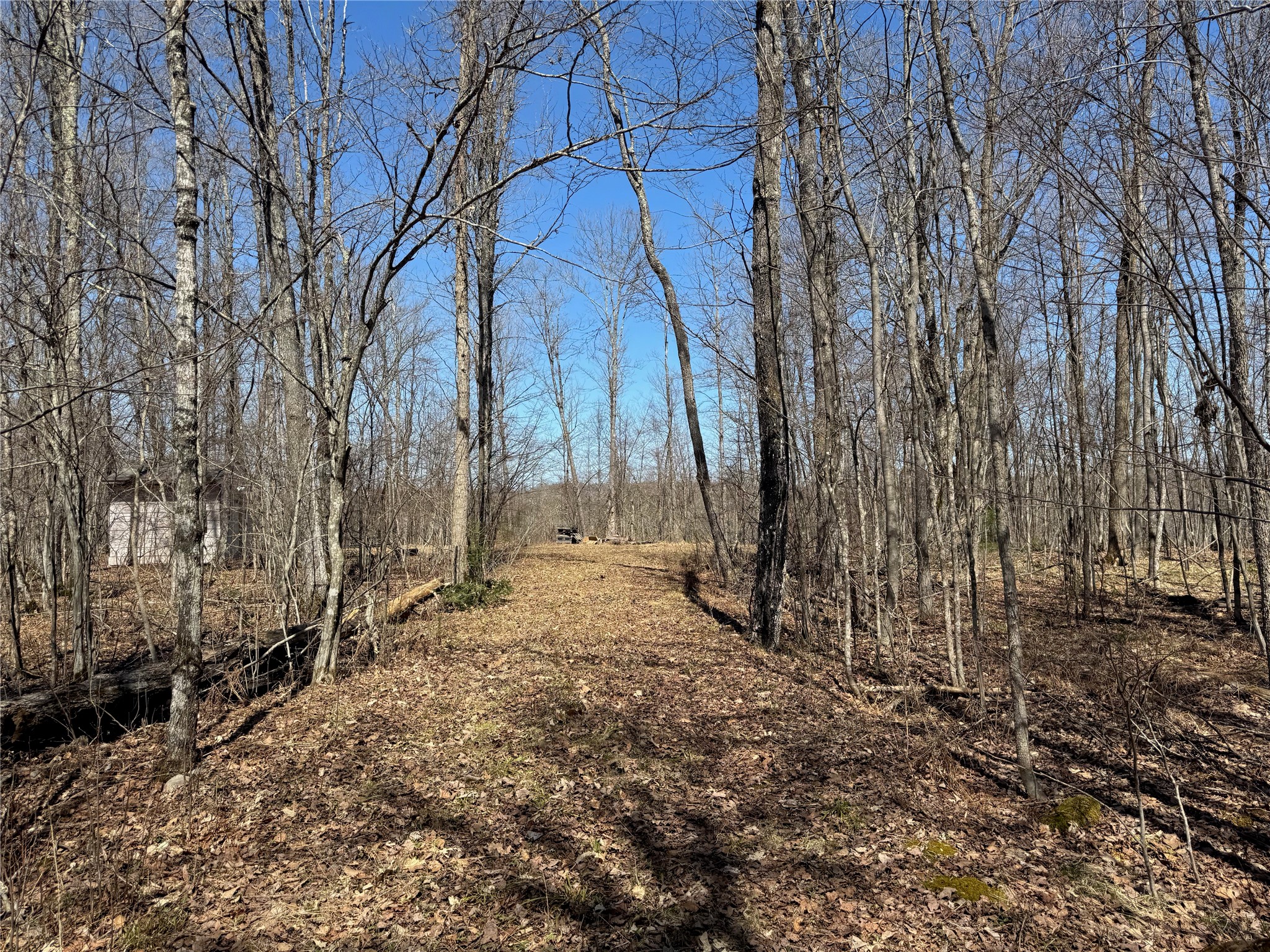 9220 W Scout Trail Ojibwa WI 54862 - Chippewa 1600301 image27