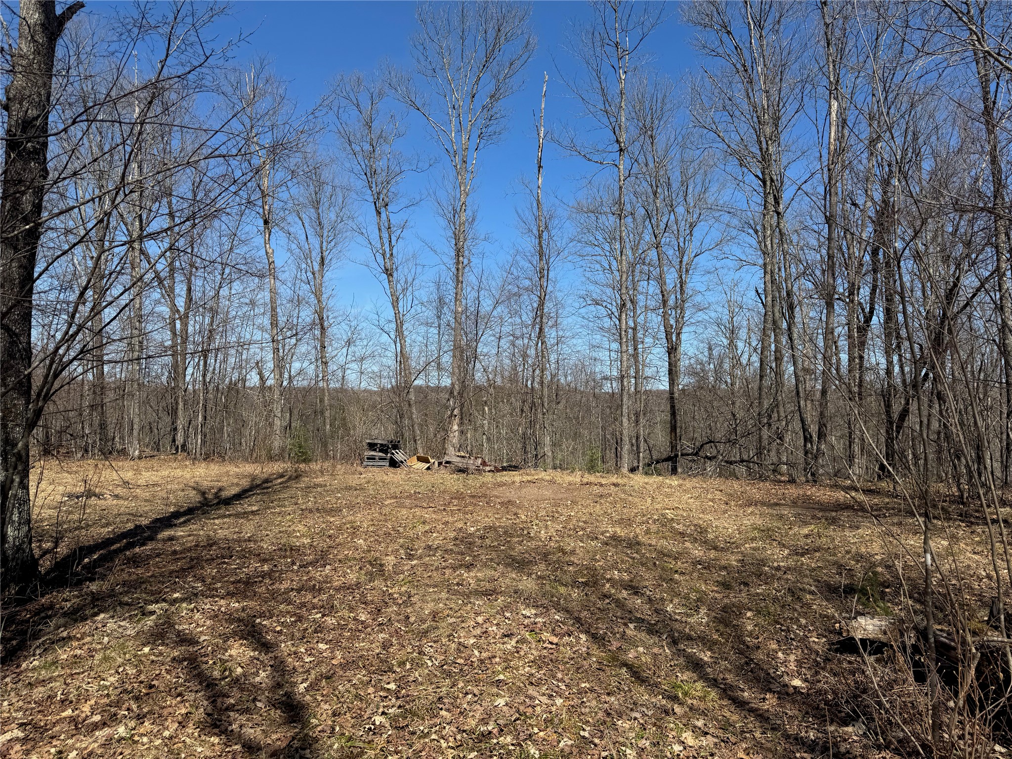 9220 W Scout Trail Ojibwa WI 54862 - Chippewa 1600301 image28
