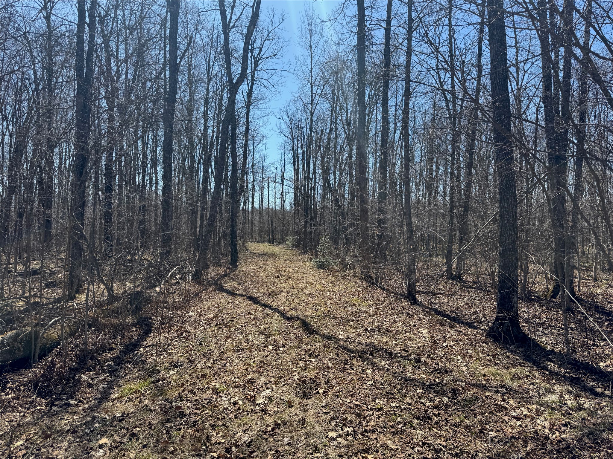 9220 W Scout Trail Ojibwa WI 54862 - Chippewa 1600301 image30