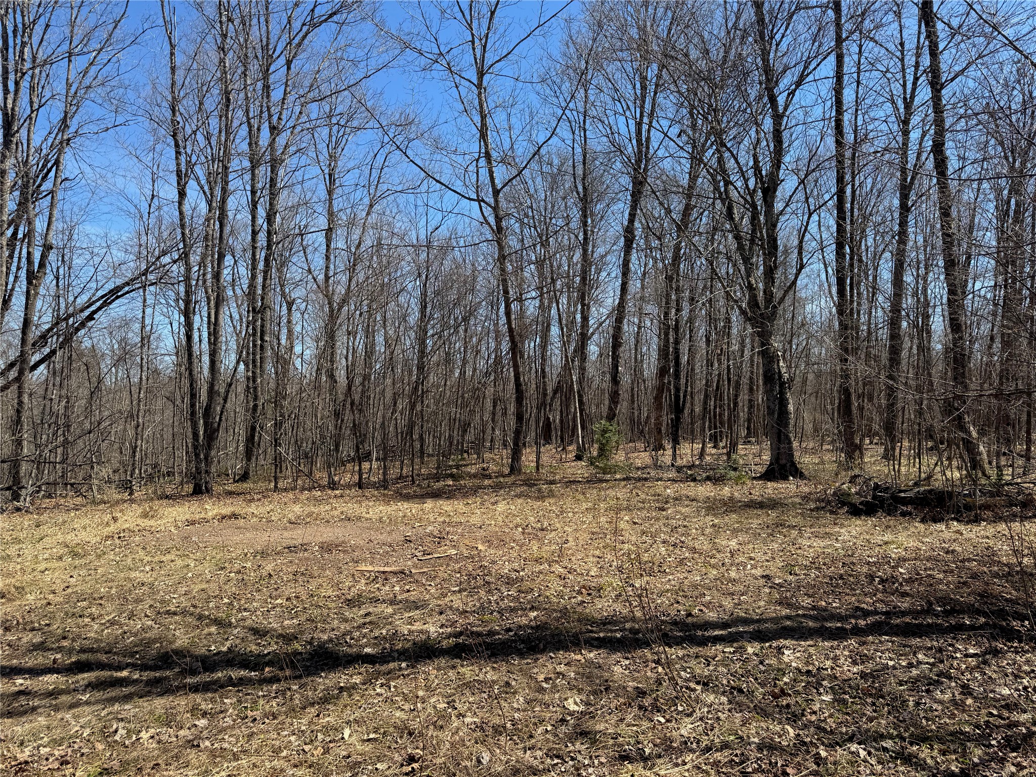 9220 W Scout Trail Ojibwa WI 54862 - Chippewa 1600301 image31