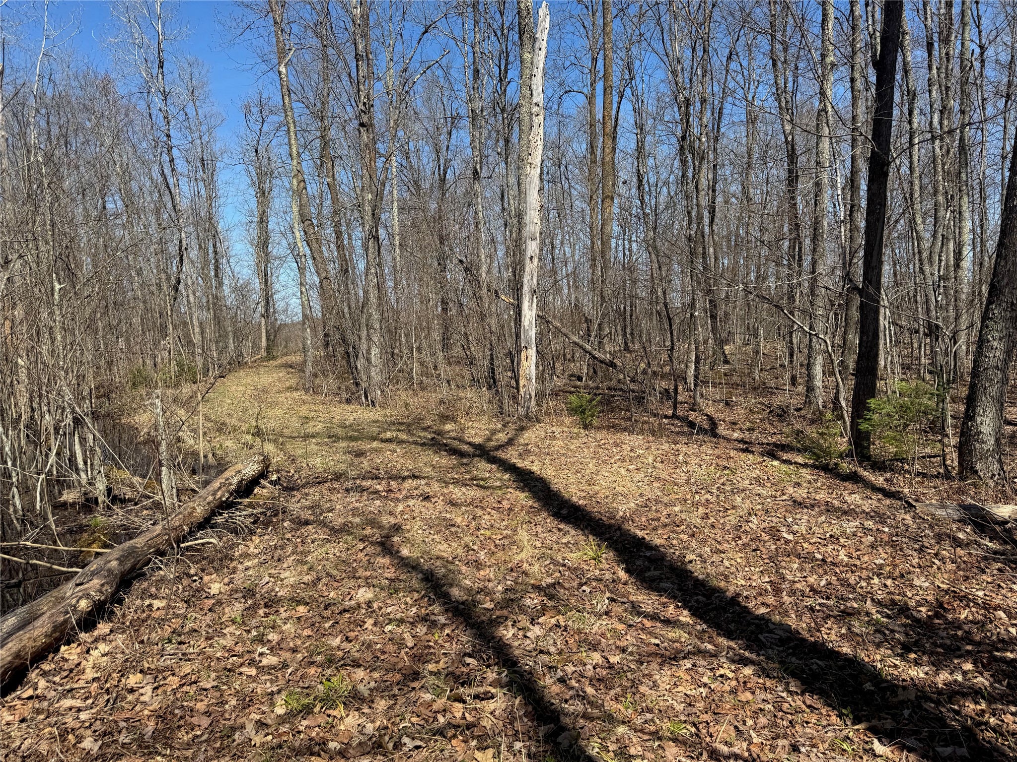 9220 W Scout Trail Ojibwa WI 54862 - Chippewa 1600301 image6