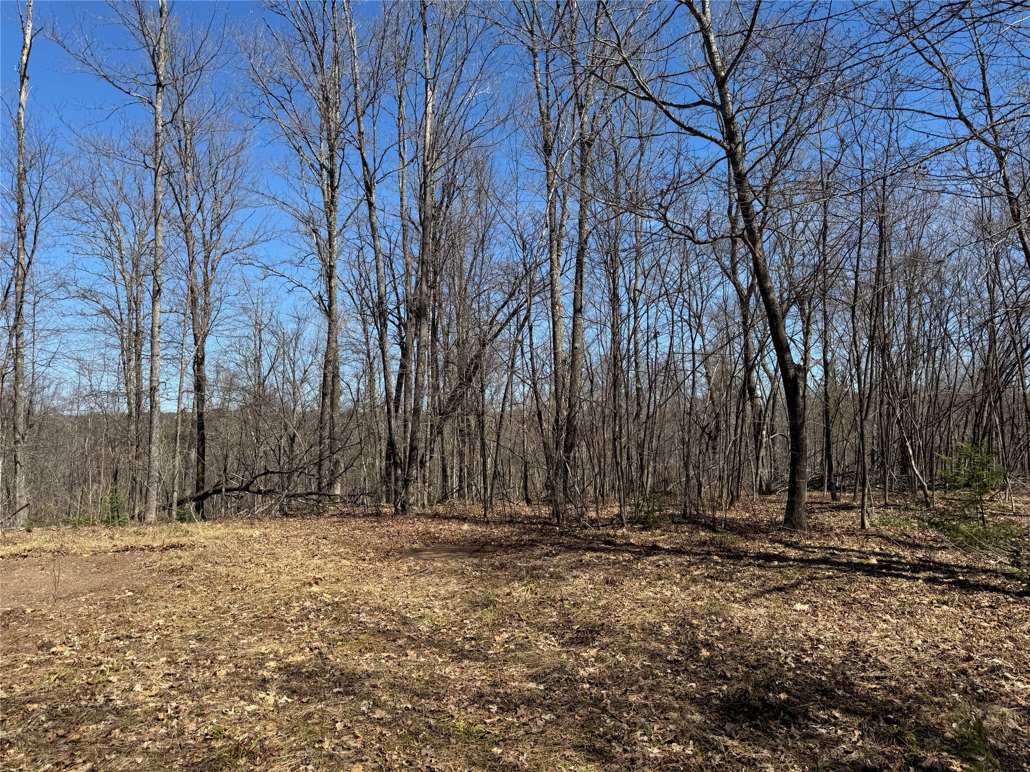 9220 W Scout Trail Ojibwa WI 54862 - Chippewa 1600301 image7