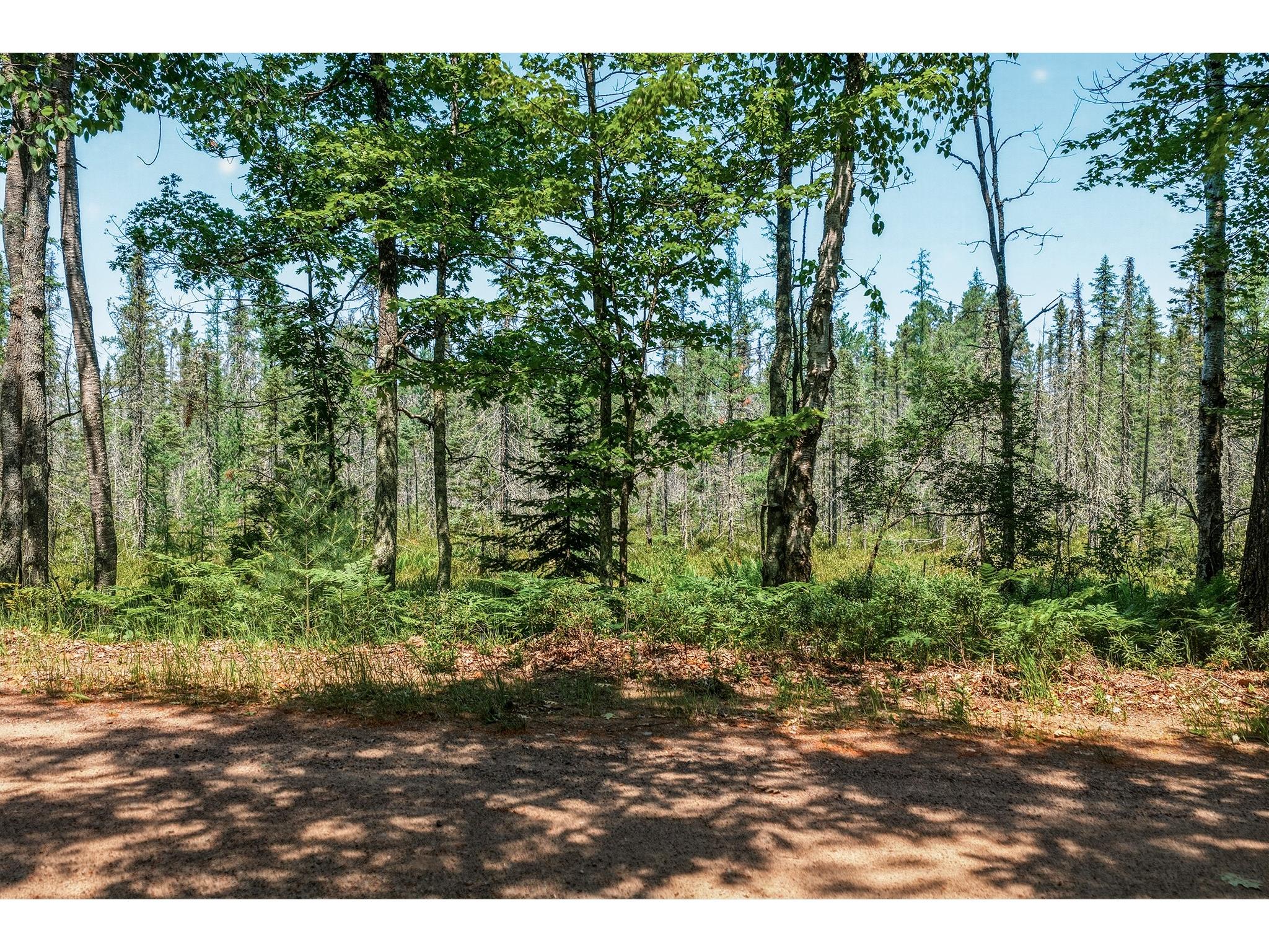 9292 W Duncan Point Road Hayward WI 54843 1602848 image27