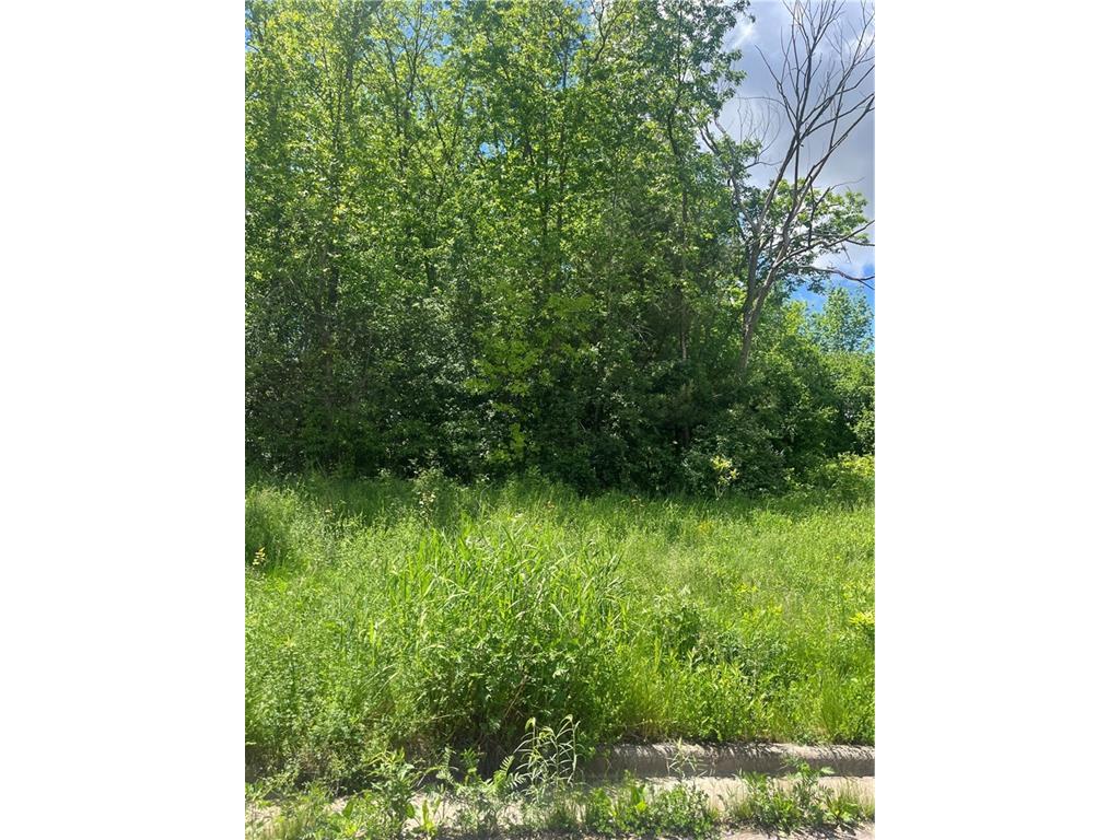 930 Emerald Court Rice Lake WI 54868 1578635 image1