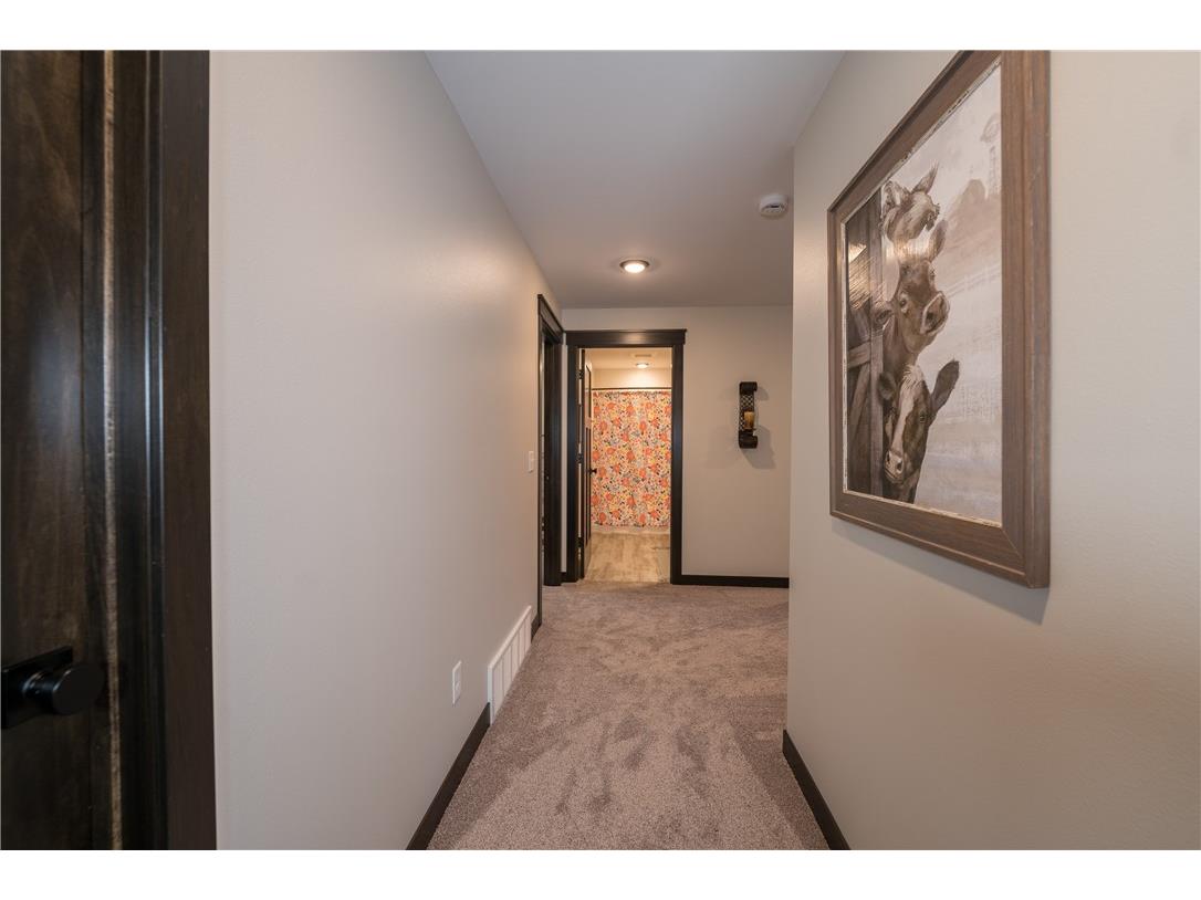 9317 E 453rd Avenue Elk Mound WI 54739 1598602 image17