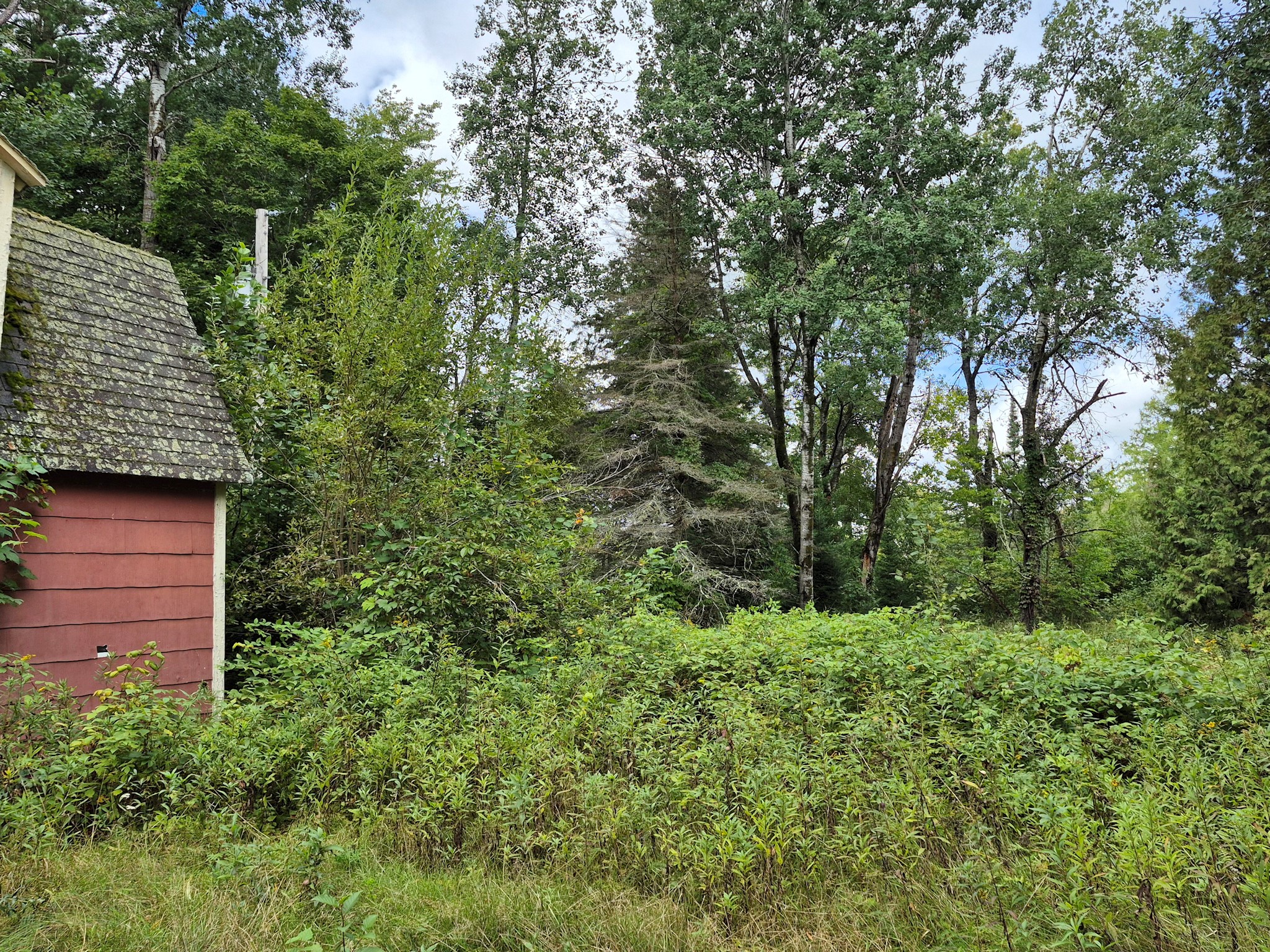 9341 N Nyberg Road Hayward WI 54843 - Spring 1602291 image25
