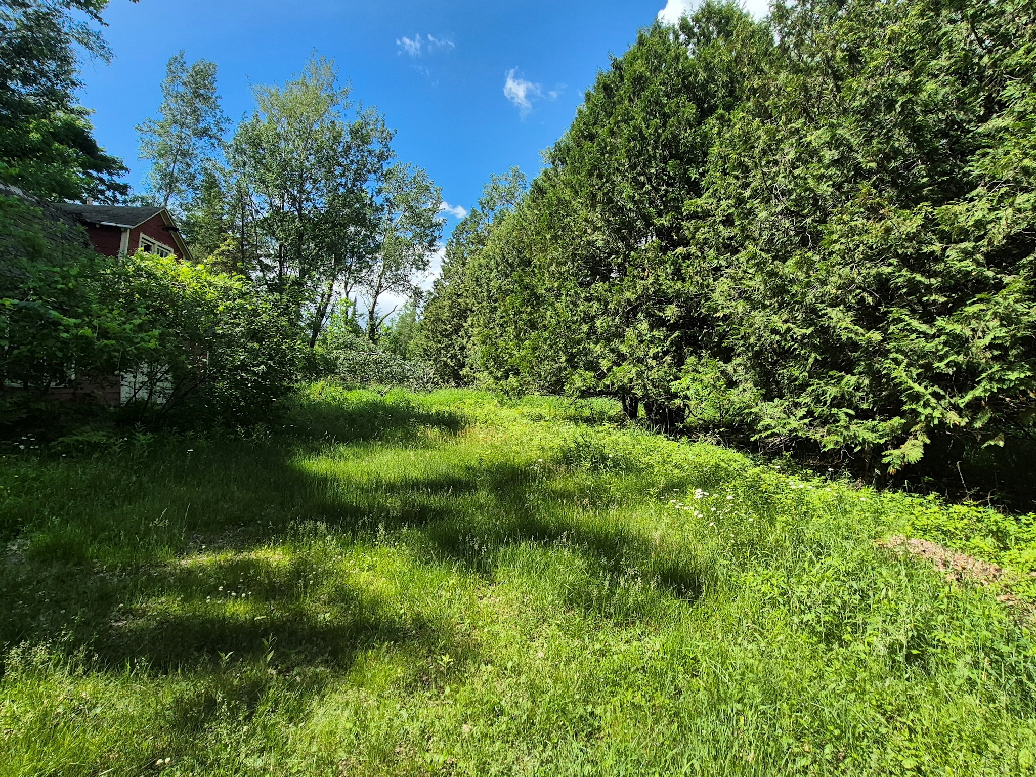 9341 N Nyberg Road Hayward WI 54843 - Spring 1602291 image28