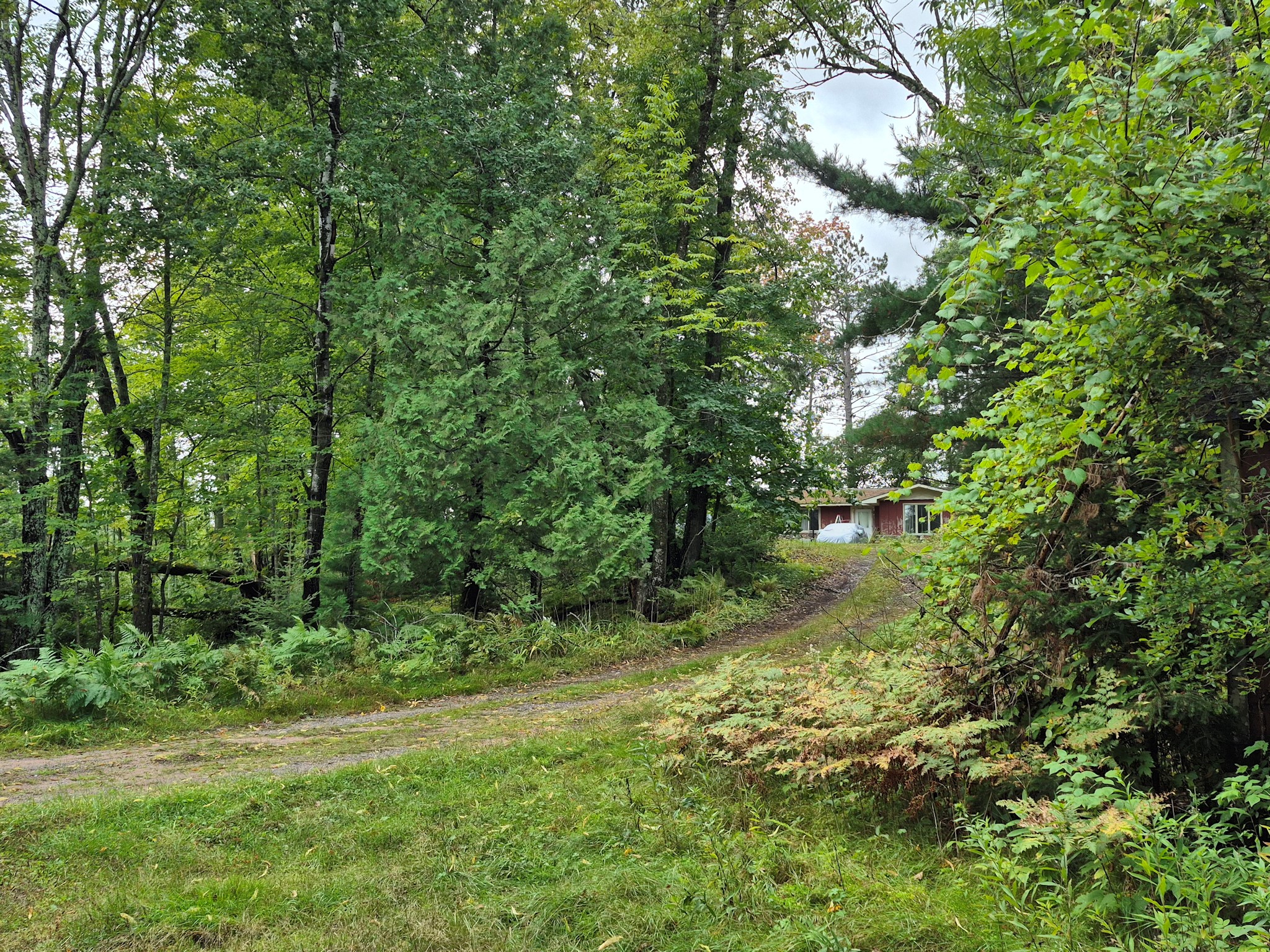 9341 N Nyberg Road Hayward WI 54843 - Spring 1602291 image29