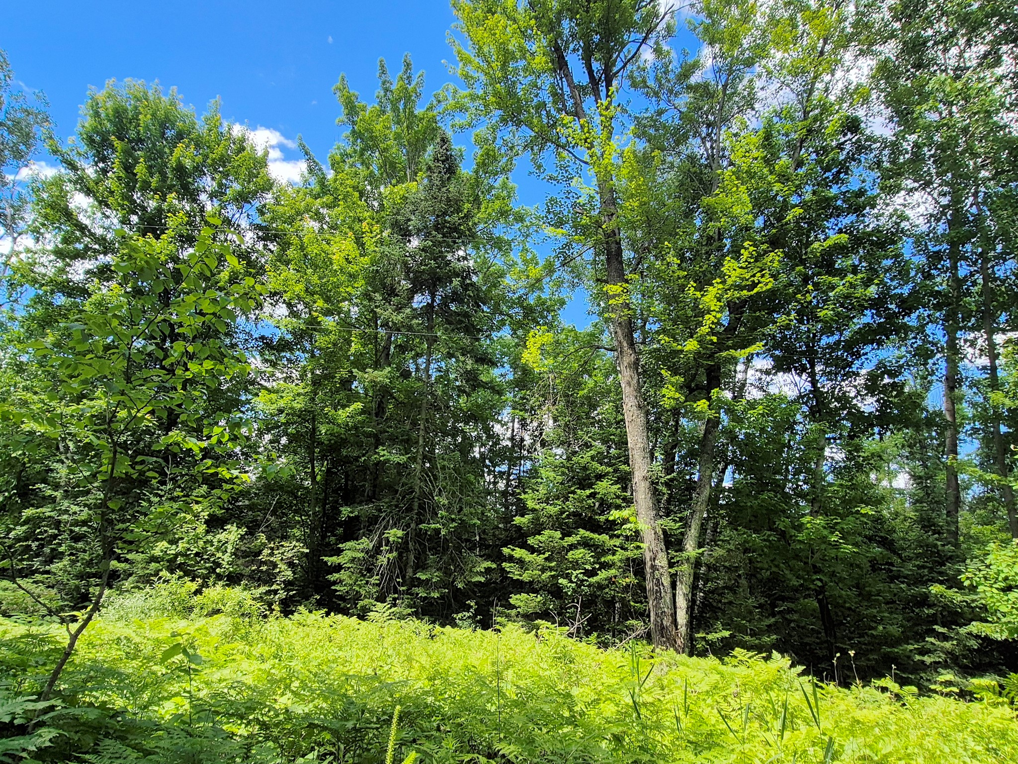 9341 N Nyberg Road Hayward WI 54843 - Spring 1602291 image30