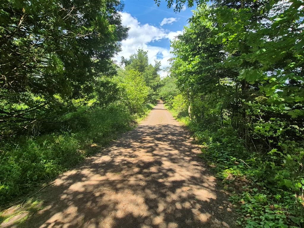 9341 N Nyberg Road Hayward WI 54843 - Spring 1602506 image10