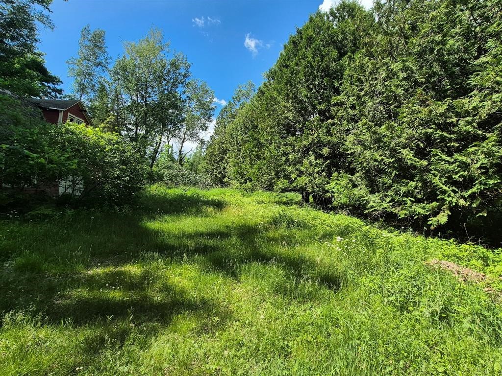 9341 N Nyberg Road Hayward WI 54843 - Spring 1602506 image11
