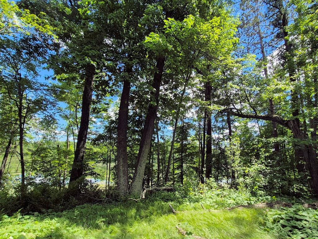9341 N Nyberg Road Hayward WI 54843 - Spring 1602506 image5