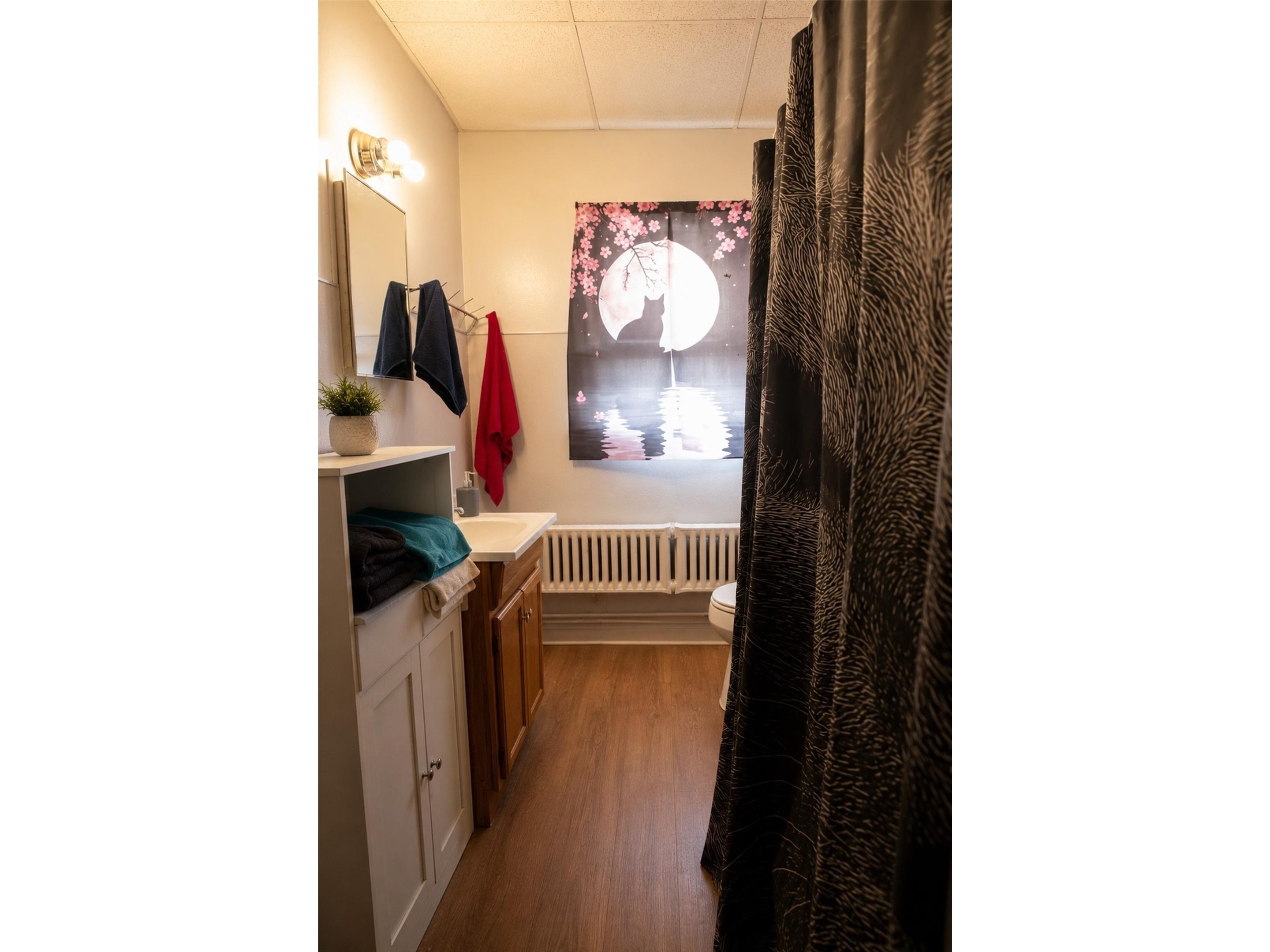 940 N Bridge Street #1-4 Chippewa Falls WI 54729 - Duncan Creek 1602667 image46