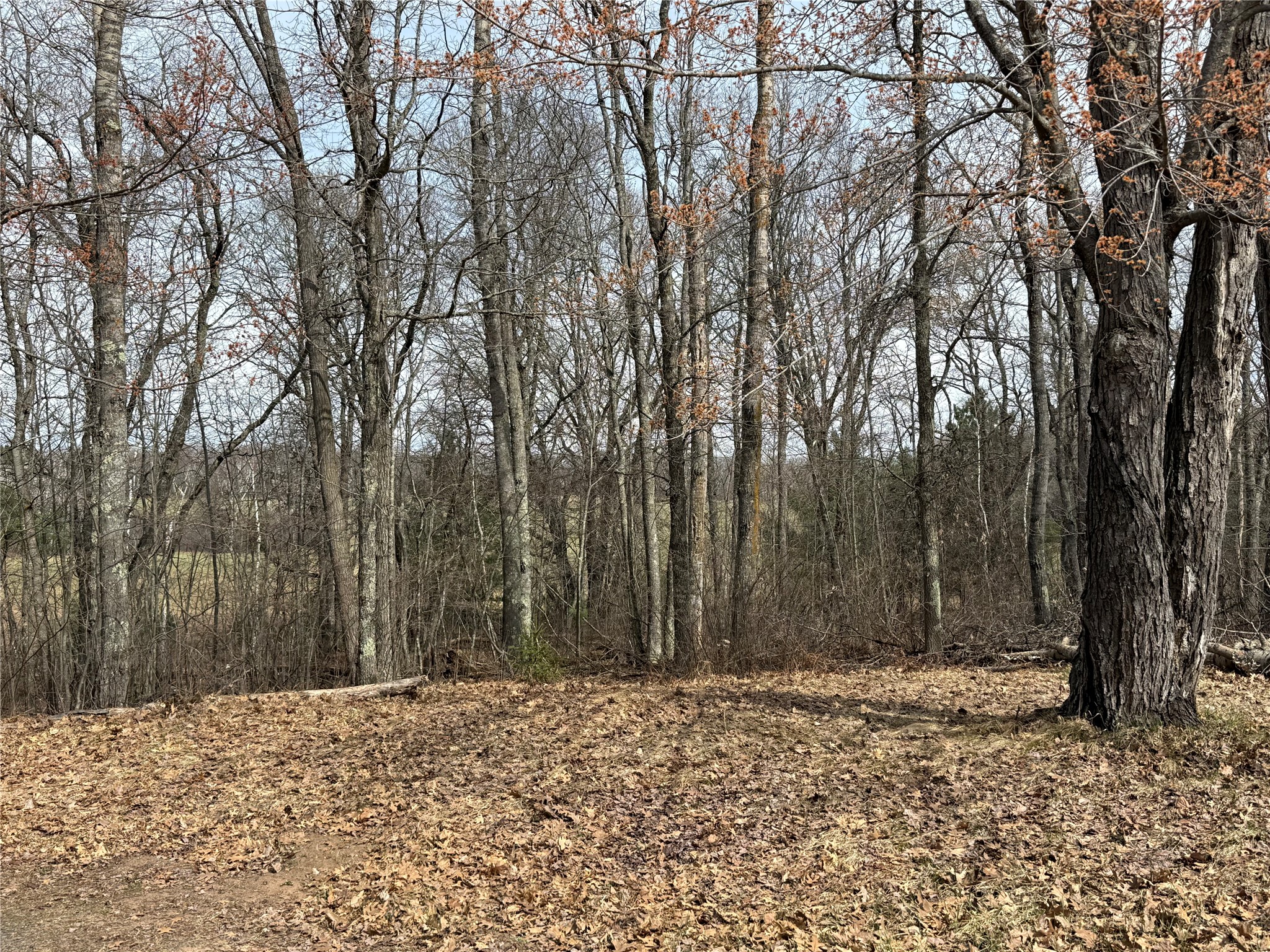 9410 Pine Lake Road Iron River WI 54847 1598318 image30