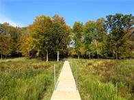 949 Nedvidek Street Cumberland WI 54829 - Beaver Dam Lake 1595104 image1