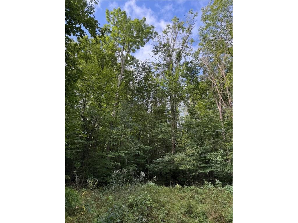 9598 E County Road L Lake Nebagamon WI 54849 1595231 image10