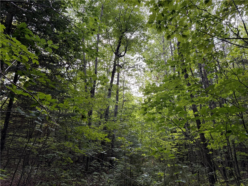 9598 E County Road L Lake Nebagamon WI 54849 1595231 image11