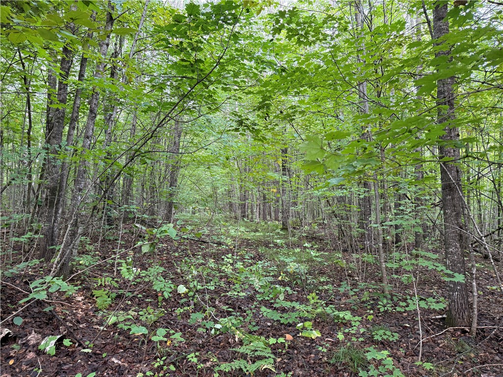 9598 E County Road L Lake Nebagamon WI 54849 1595231 image12