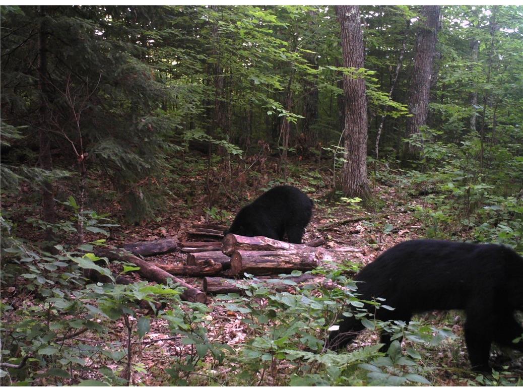 9598 E County Road L Lake Nebagamon WI 54849 1595231 image13