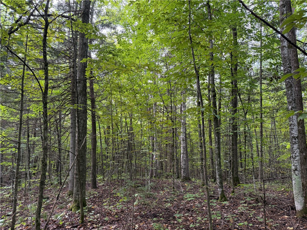 9598 E County Road L Lake Nebagamon WI 54849 1595231 image14